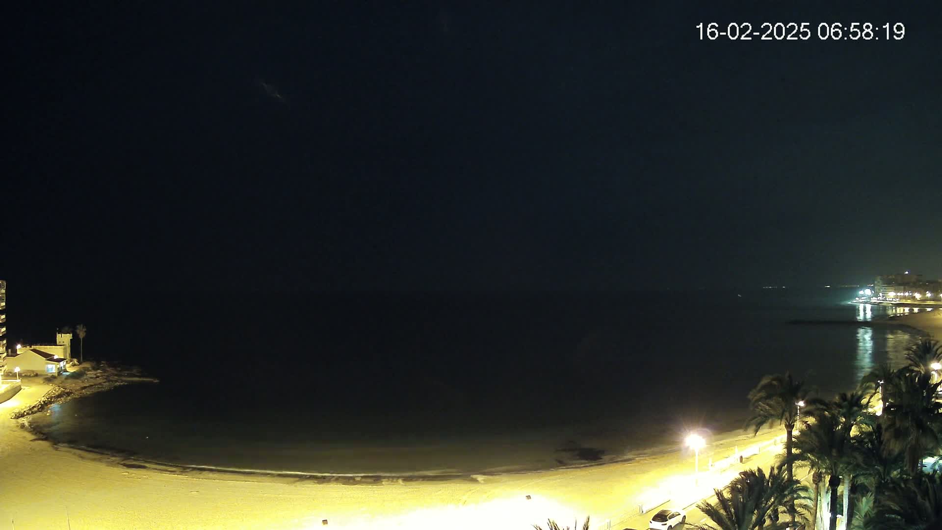 A nighttime view of a calm, dark ocean meeting a sandy beach lined with palm trees and illuminated by streetlights.
