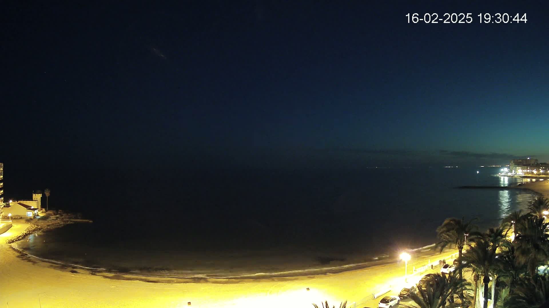 A nighttime coastal scene shows a dark, calm sea lapping a gently curving, illuminated sandy beach, with palm trees and buildings lining the shore under a clear, dark sky.