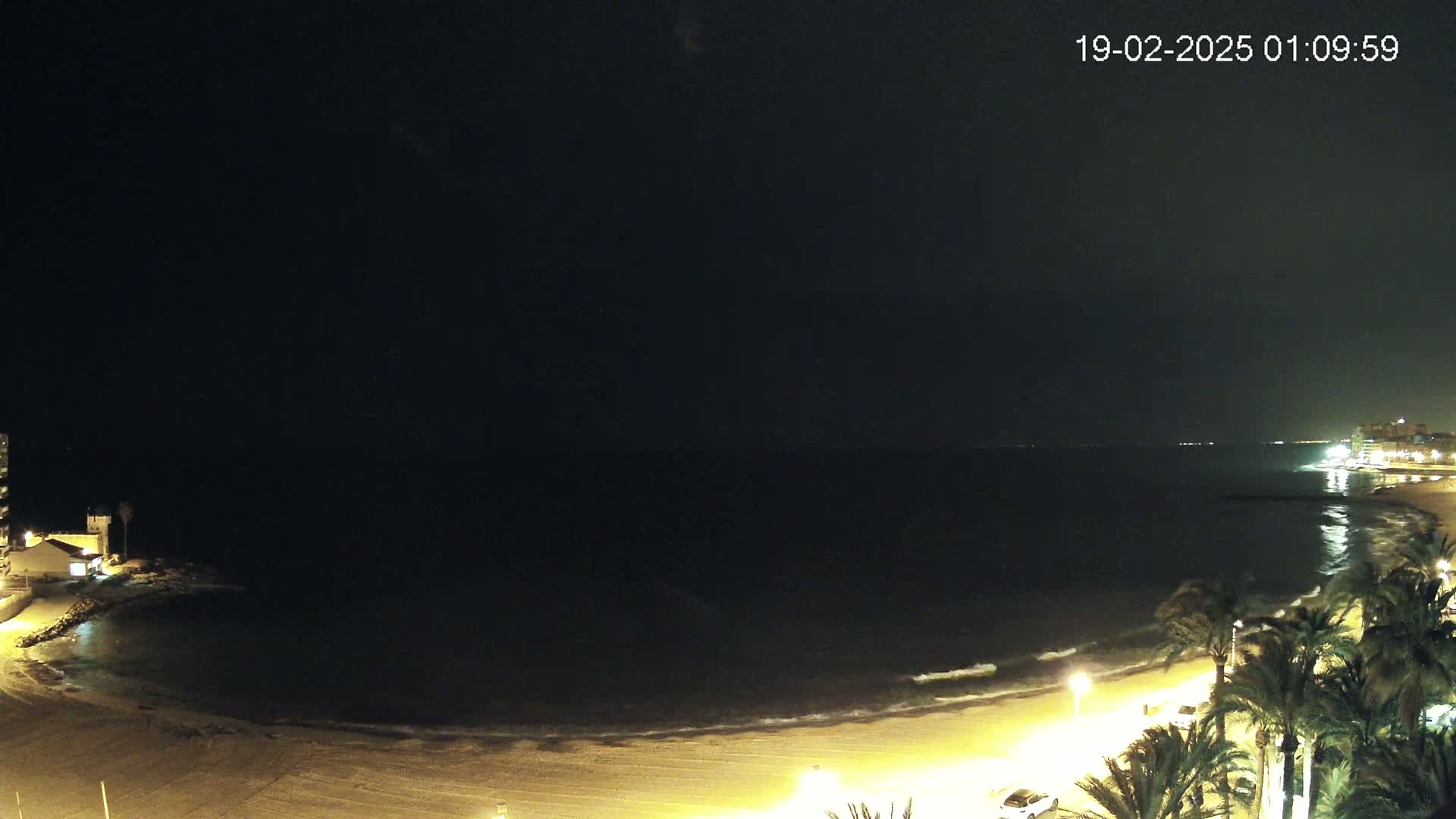 A dark, nighttime beach scene shows gently lapping waves on a sandy shore, illuminated by lights along the beachfront promenade lined with palm trees.