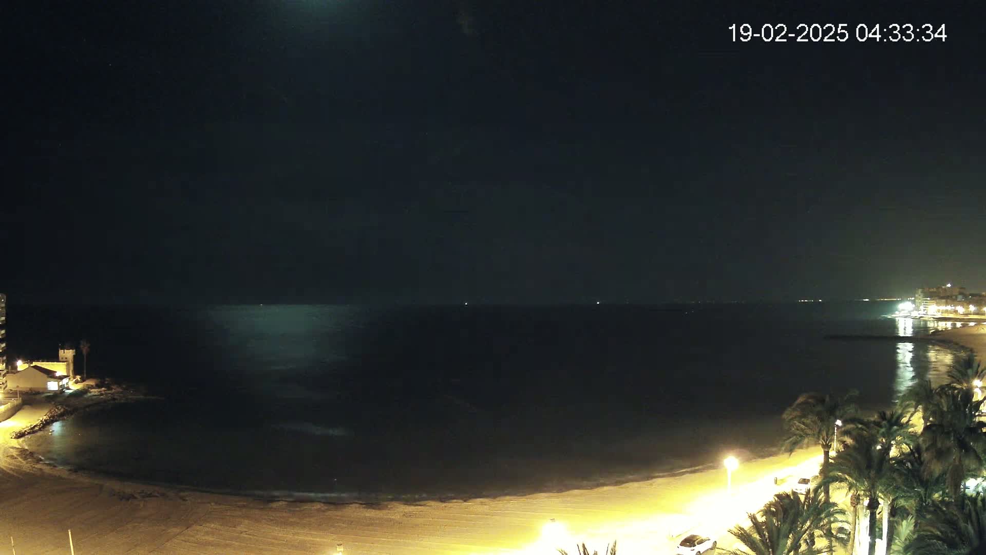 A nighttime view of a calm, dark sea lapping a sandy beach lined with palm trees and illuminated buildings under a clear, moonlit sky.