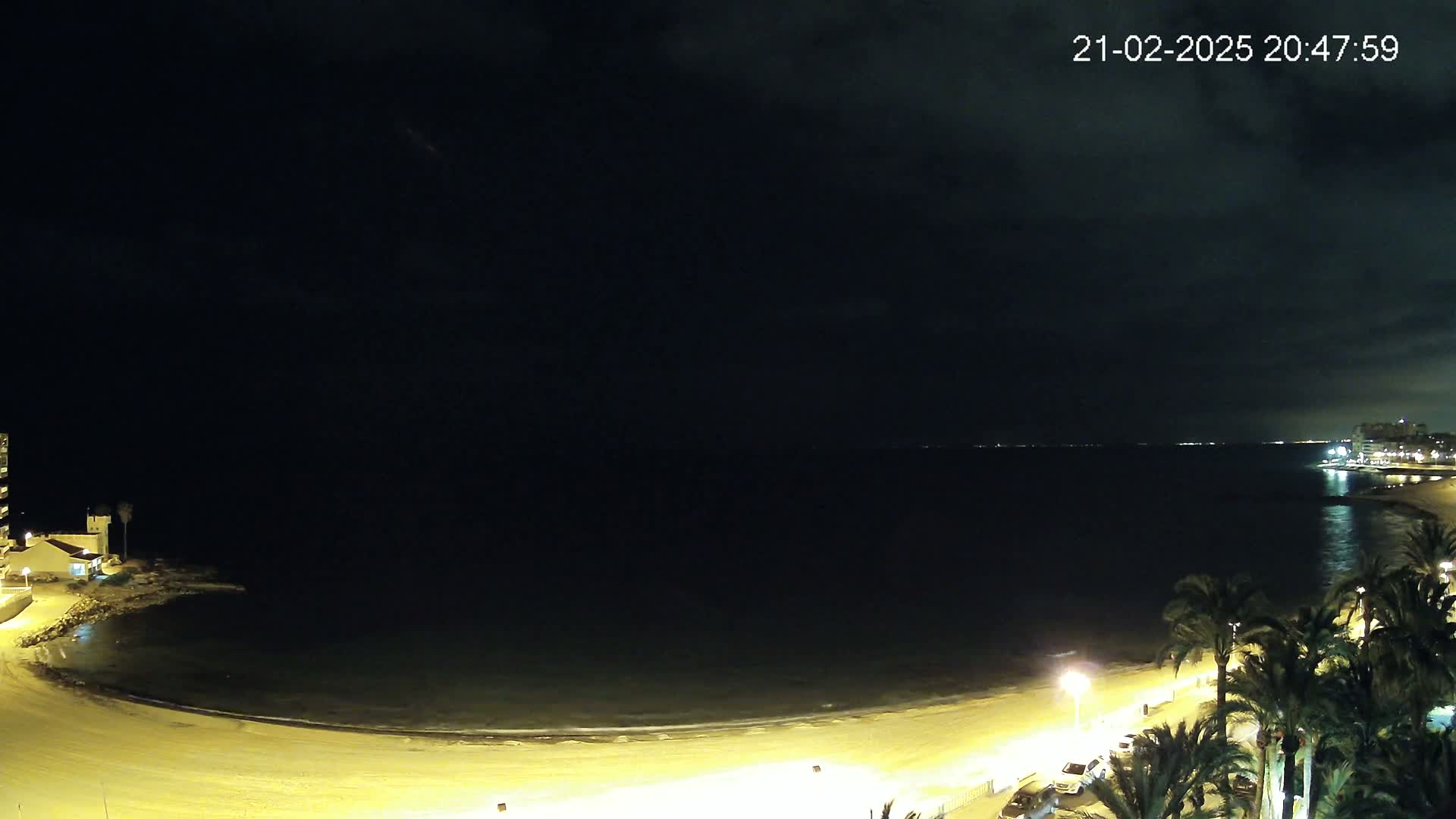 A nighttime view of a calm, dark ocean curving along a sandy beach lined with palm trees and illuminated by streetlights under a mostly clear, dark sky.