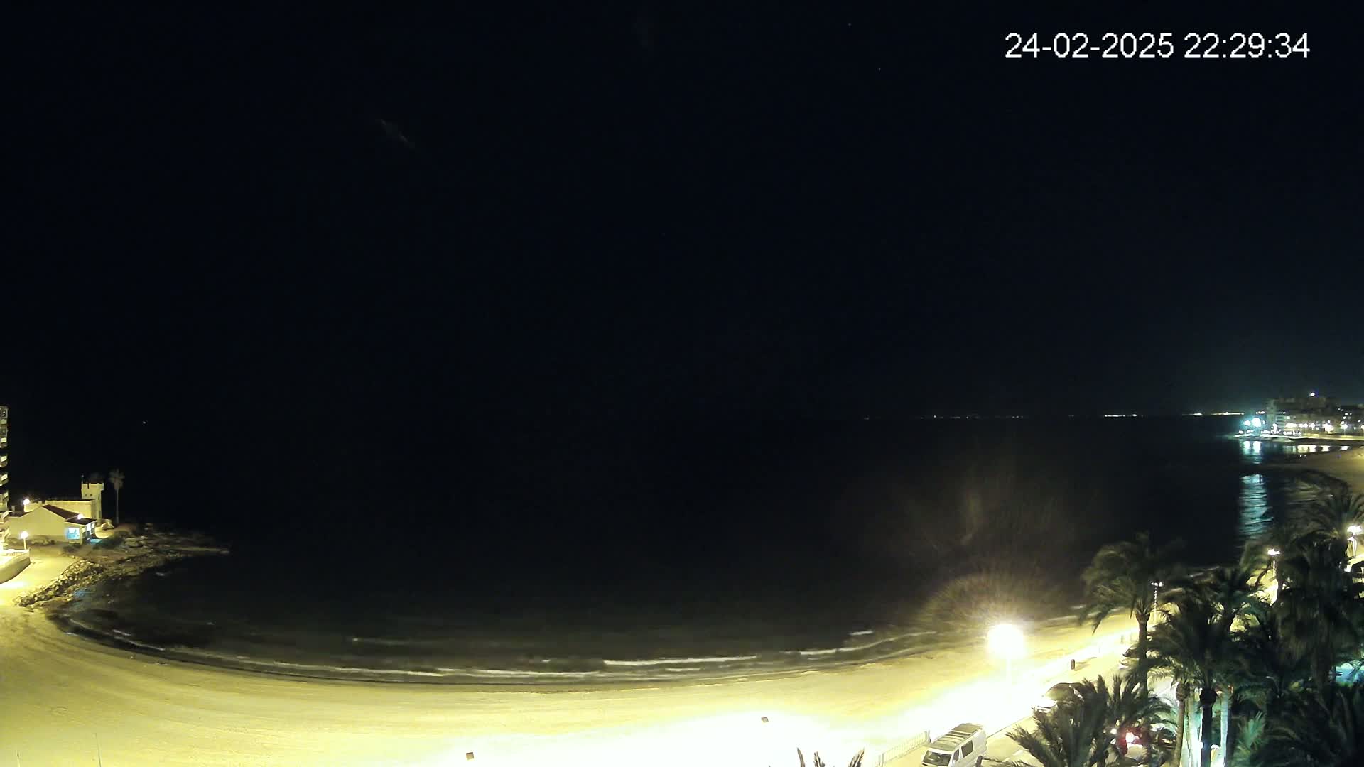 A night-time view of a sandy beach with gentle waves lapping the shore, palm trees lining the beachfront promenade, and buildings visible in the distance under a clear, dark sky.