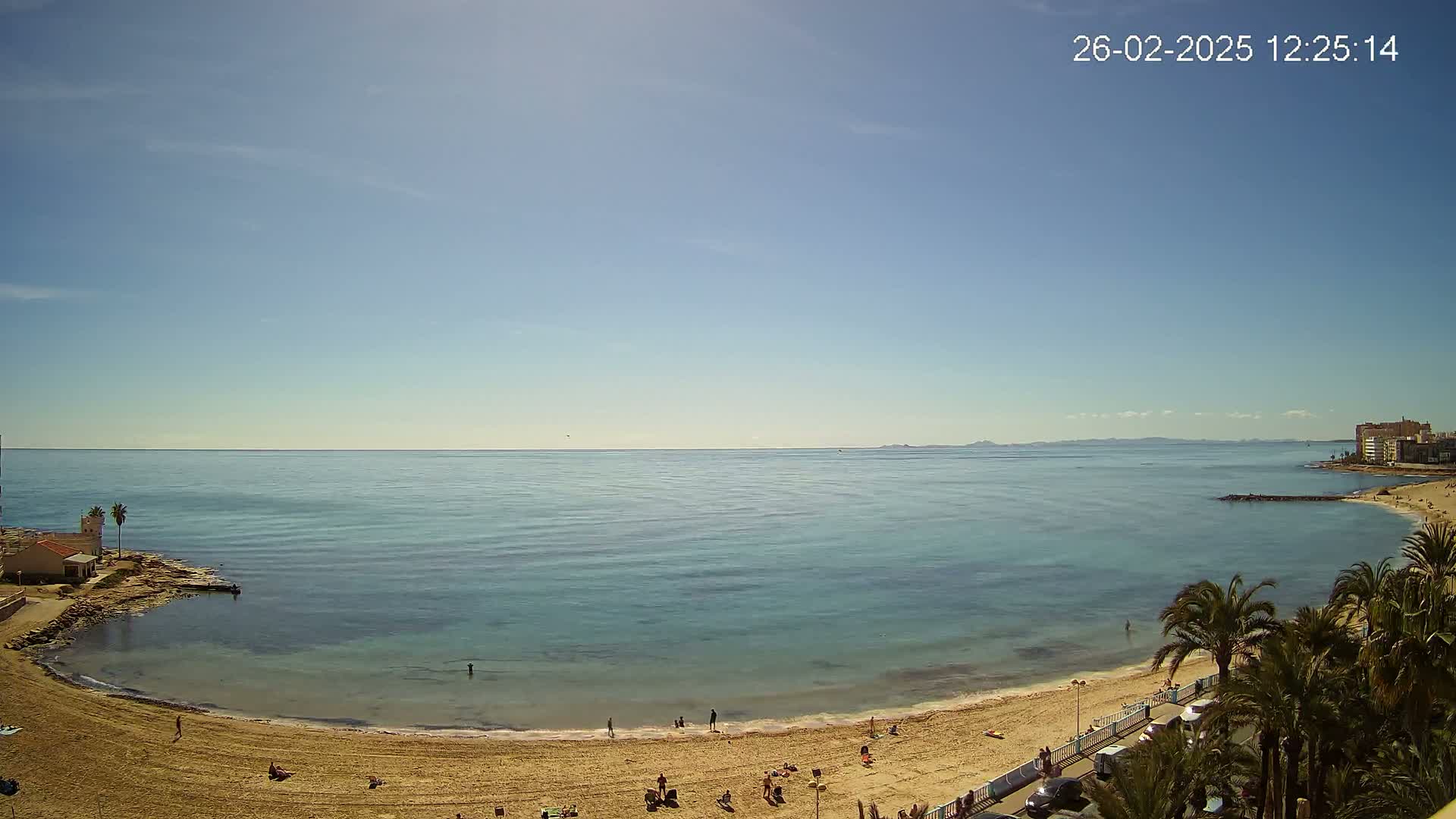 A sandy beach curves along a calm, light-blue ocean under a clear, sunny sky, with a few people scattered on the beach and palm trees in the foreground.