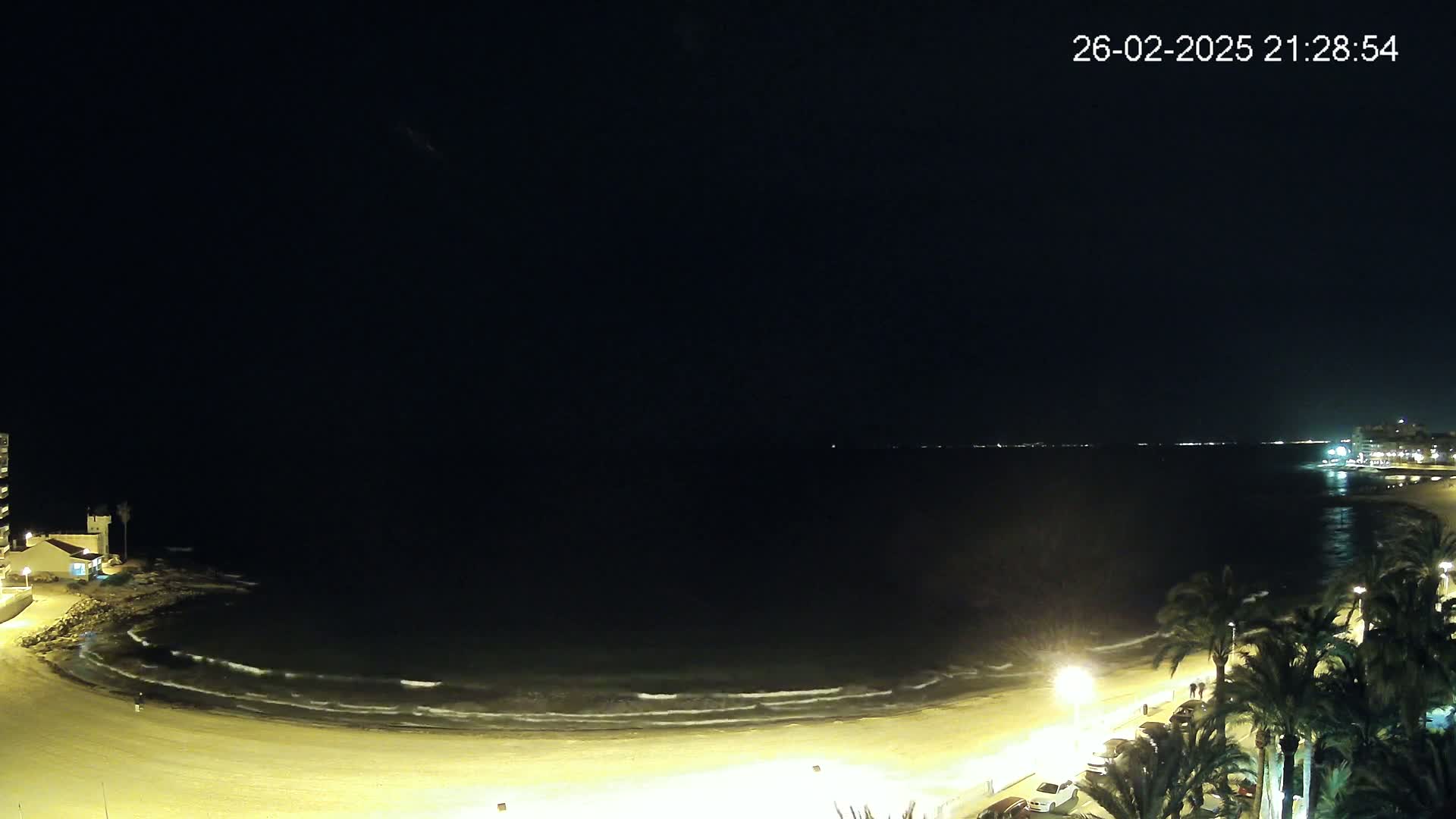 A night-time view of a sandy beach with gentle waves lapping the shore, illuminated by artificial lights, with palm trees lining the beachfront and buildings visible in the distance under a clear, dark sky.