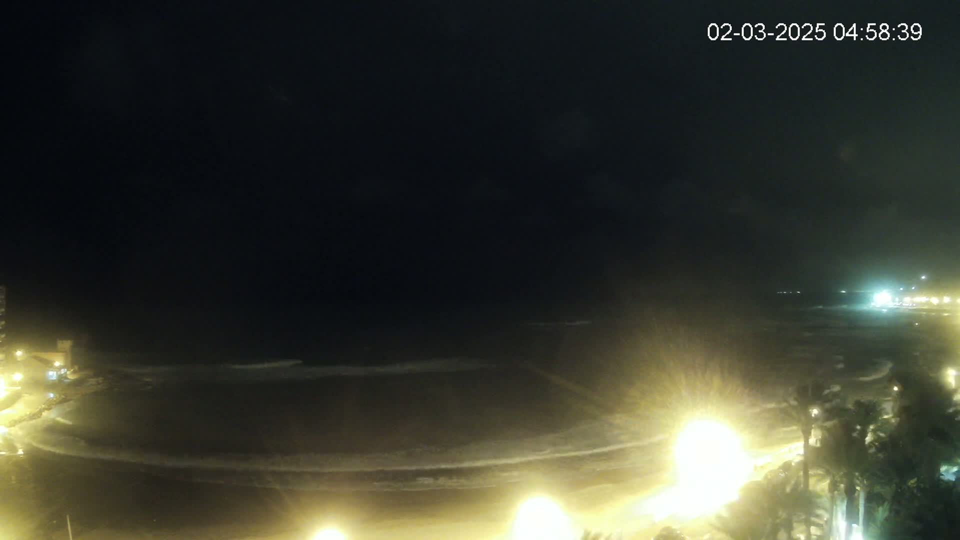 A dark nighttime scene shows a beach with gentle waves lapping the shore, illuminated by streetlights along a palm tree-lined walkway.