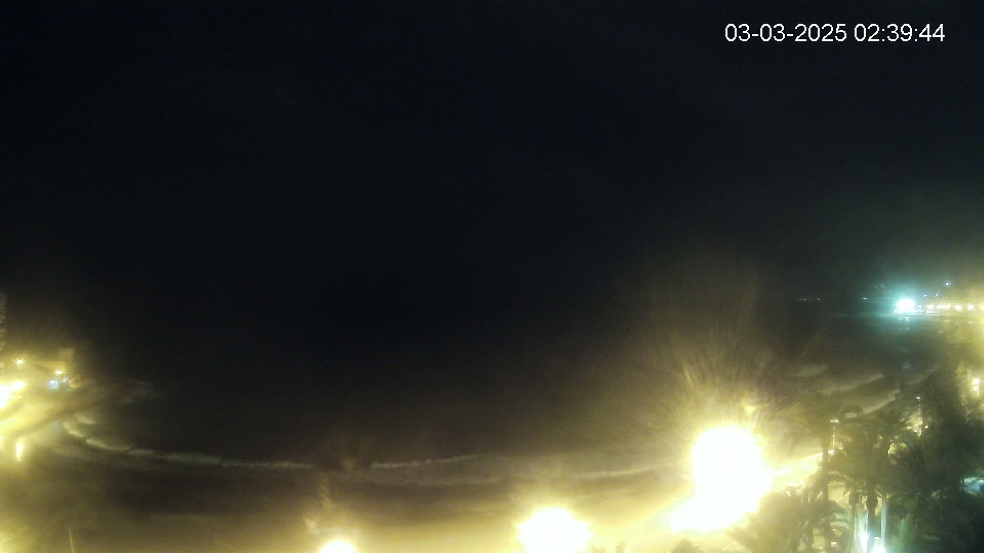 A nighttime coastal scene shows dark, somewhat stormy waters lapping at a shore lined with palm trees and illuminated by streetlights.