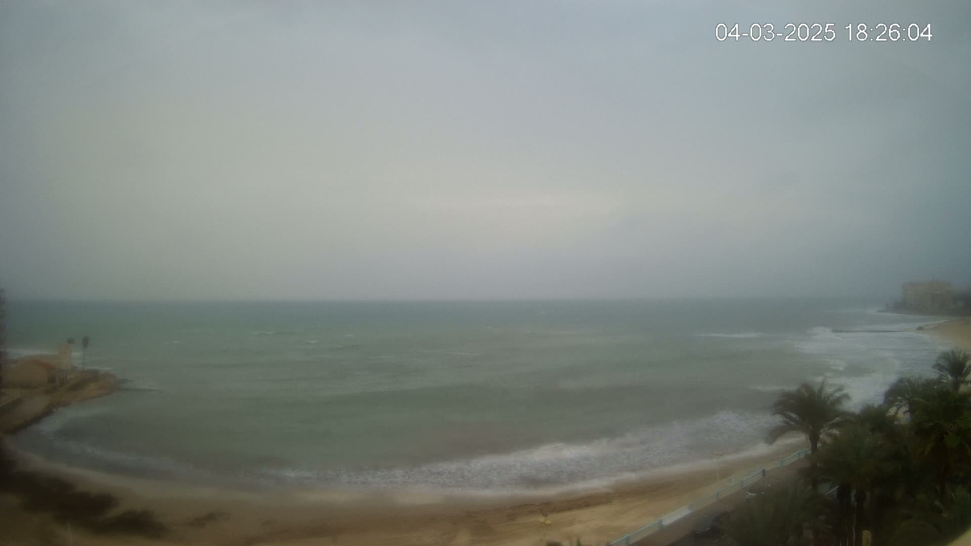 A hazy, overcast day shows a view of a beach with small waves lapping the shore, palm trees in the foreground, and a building in the distance.