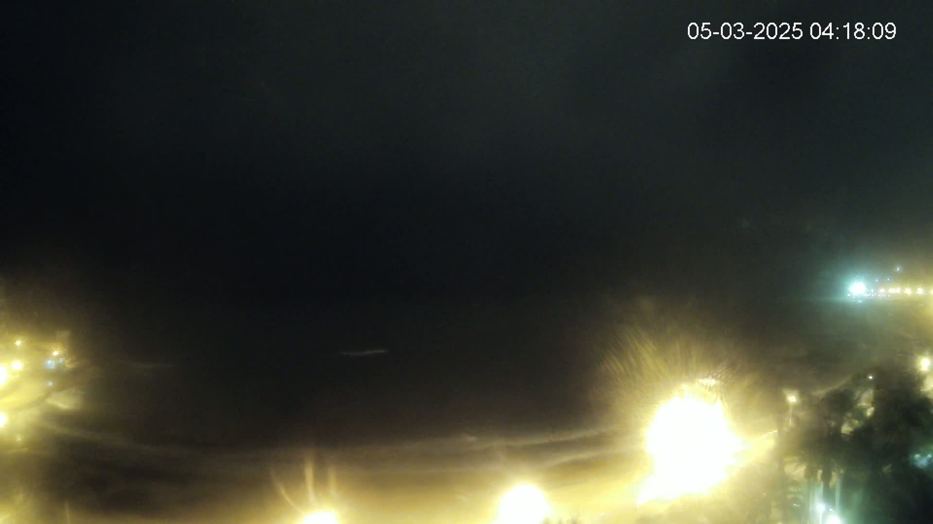A nighttime, hazy coastal scene shows a dark ocean under a mostly dark sky, with bright lights illuminating a shoreline and nearby vegetation.