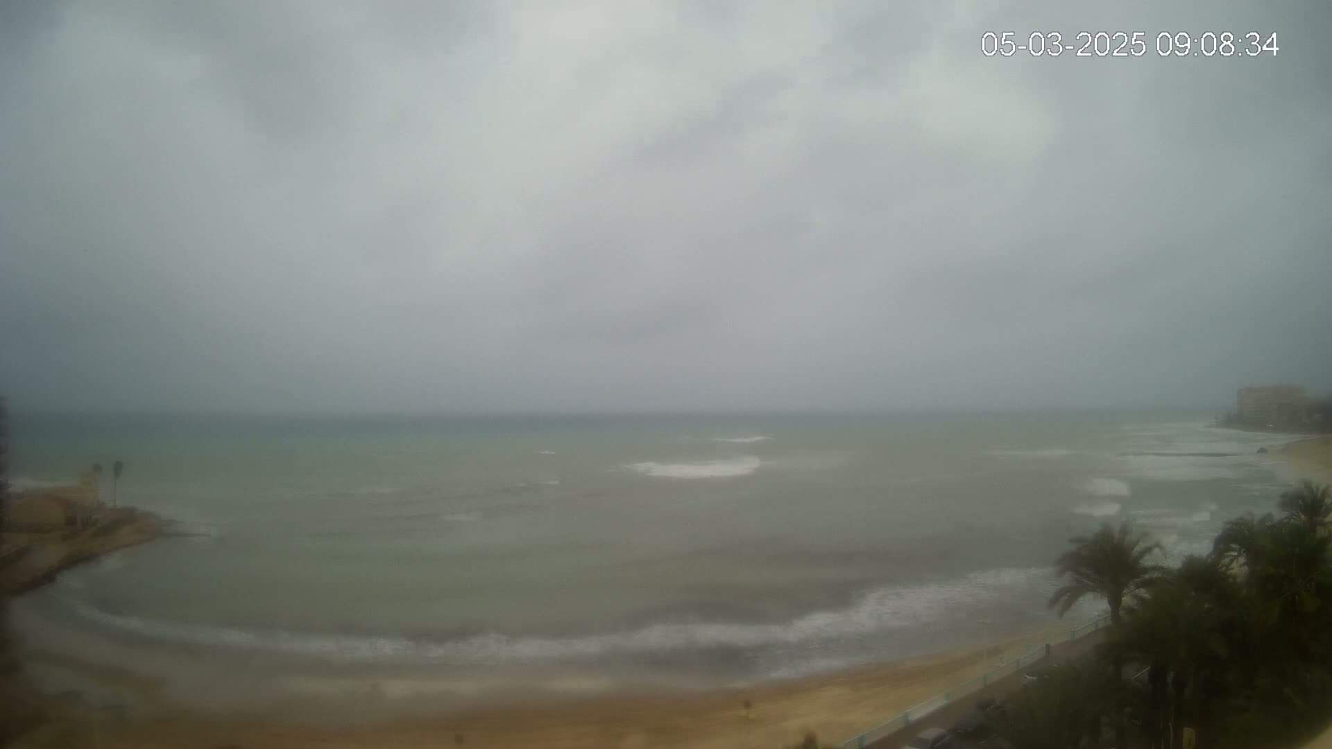 A hazy, overcast day shows a beach with a calm sea, some small waves, and palm trees in the foreground.