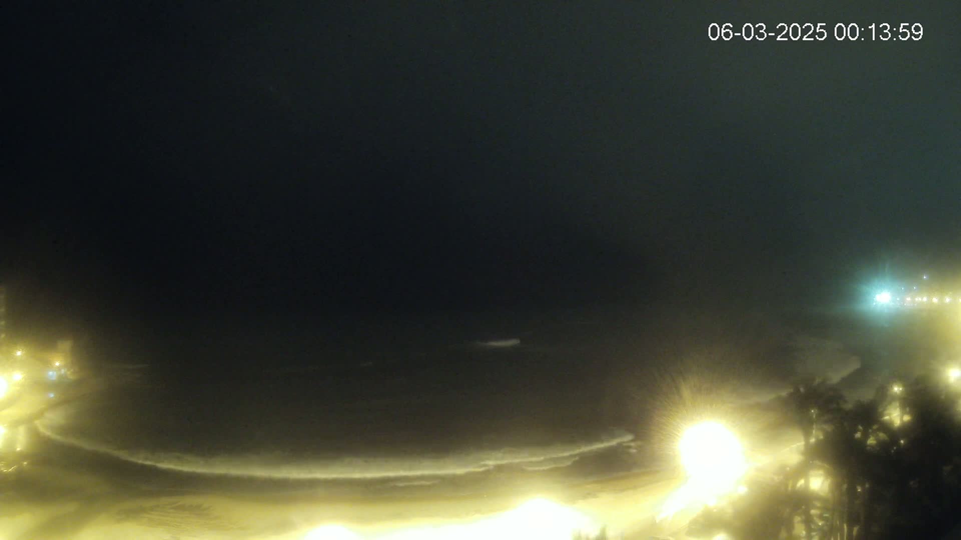 A nighttime, foggy view of a beach with dimly lit waves and streetlights along a shoreline lined with palm trees.