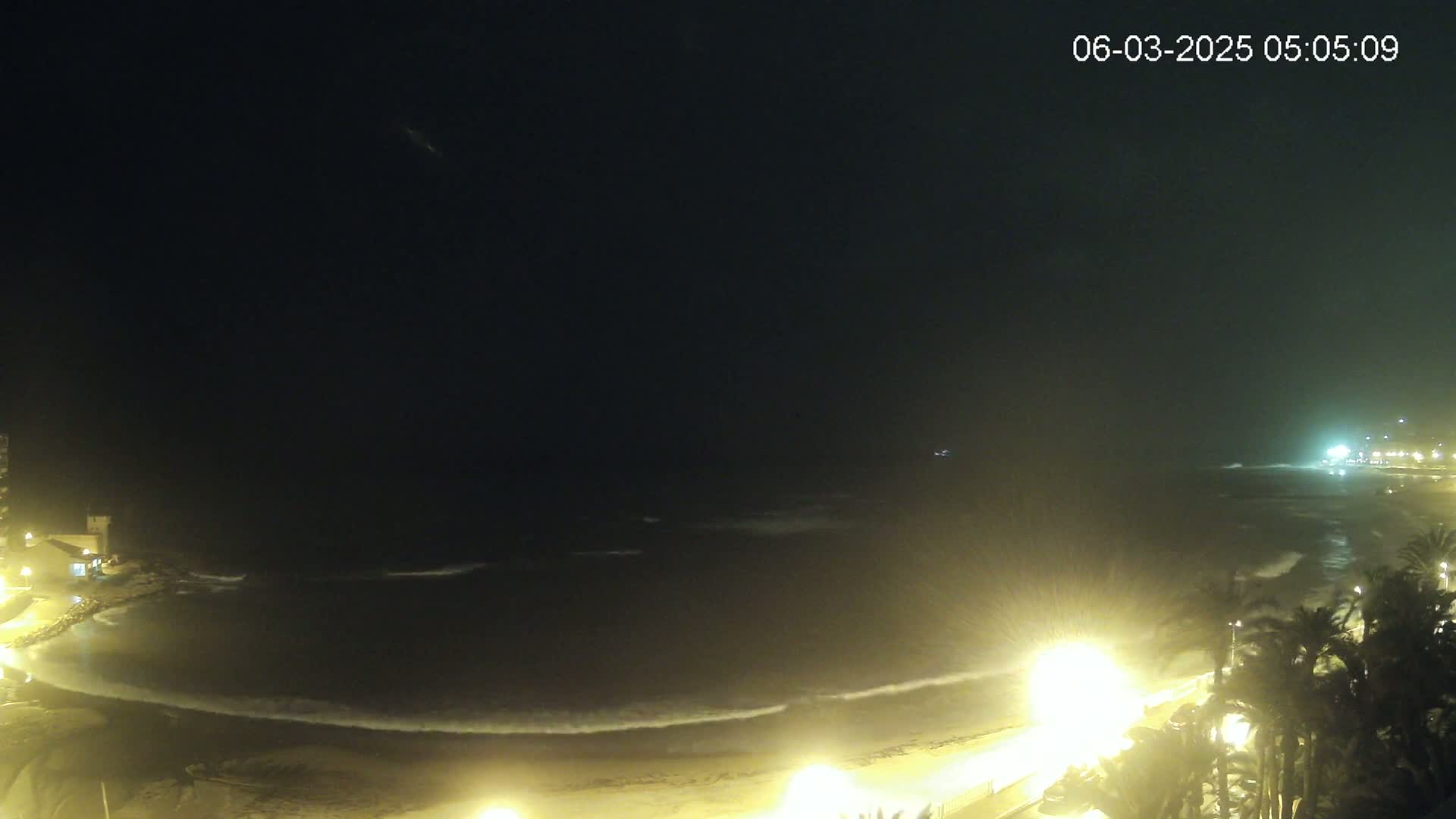 A dark, nighttime coastal scene shows gently lapping waves on a sandy beach, illuminated by streetlights along a palm tree-lined promenade.