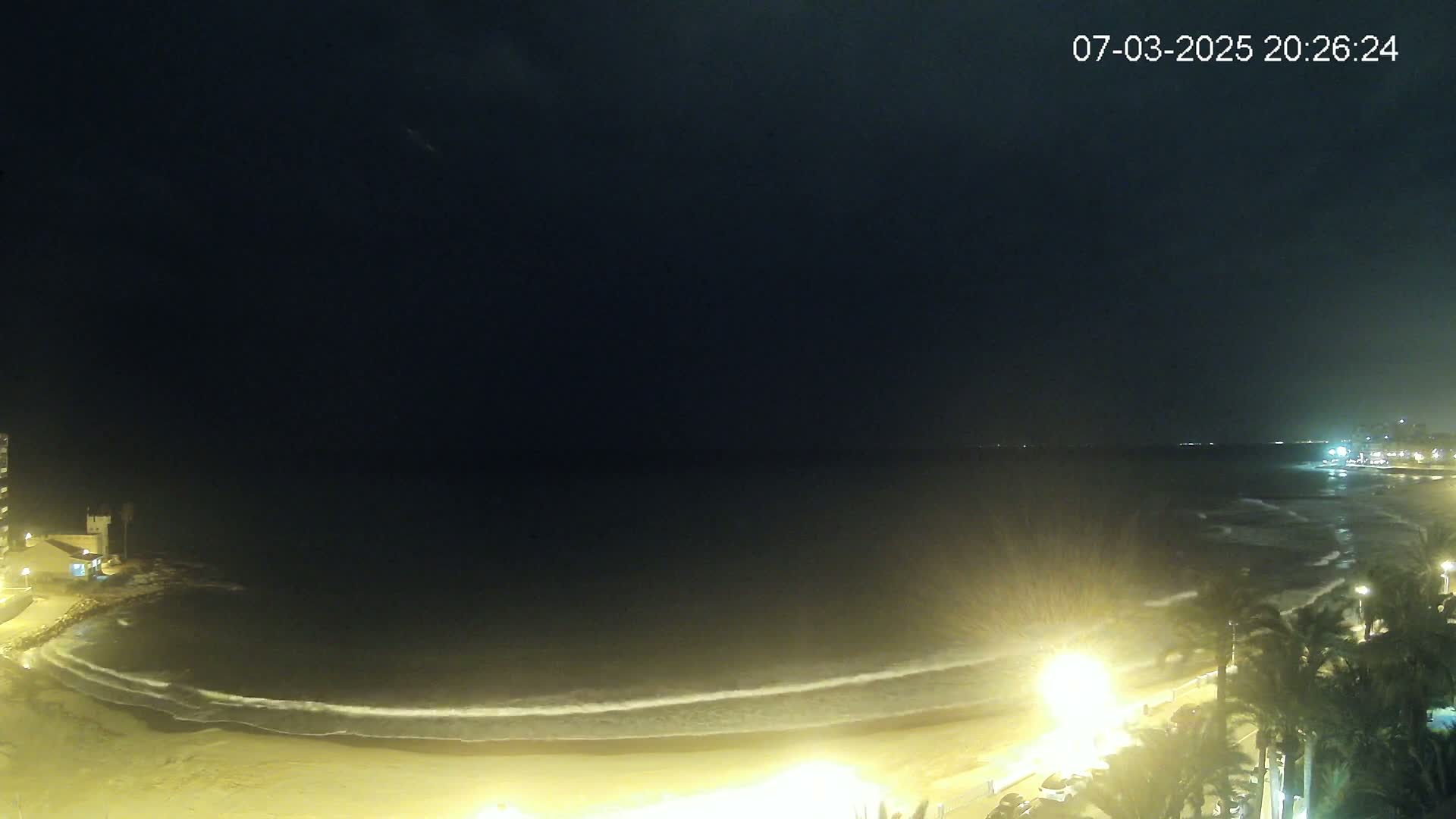A night-time view of a dark ocean with gently rolling waves lapping a sandy beach, illuminated by streetlights along a palm tree-lined promenade.