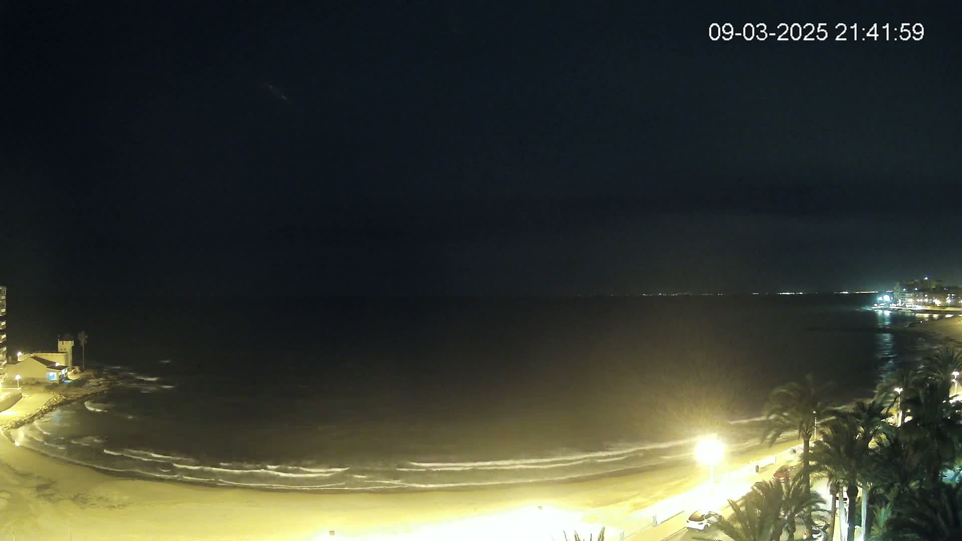 A nighttime beach scene shows gently lapping waves on a sandy shore, illuminated by streetlights, with palm trees lining a paved walkway and buildings visible in the distance under a clear, dark sky.