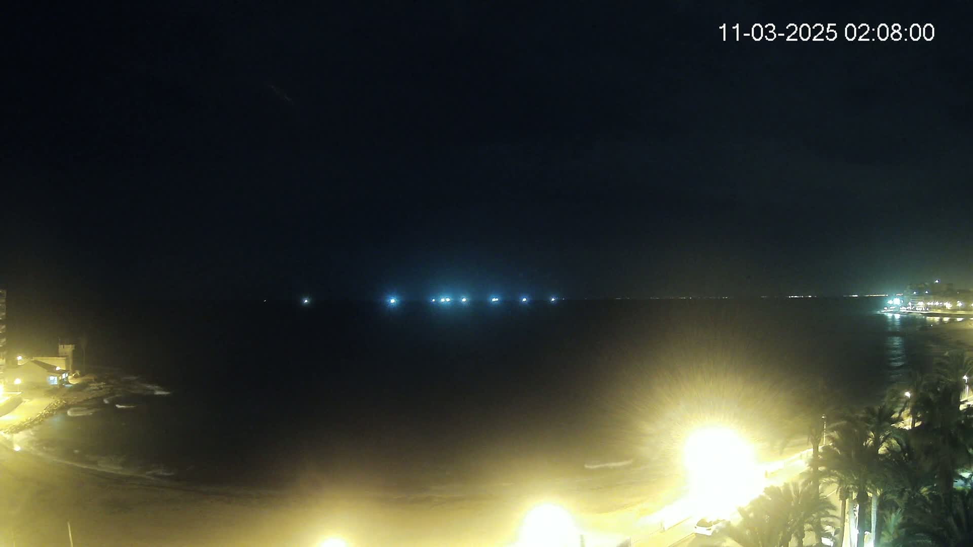 A nighttime view of a calm ocean with faintly visible lights on the horizon, a dimly lit beach, and palm trees along a shoreline at night.
