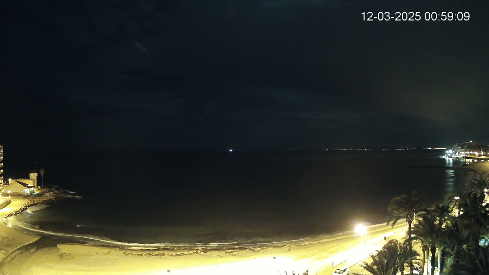 A nighttime view of a dark ocean with gently lapping waves on a sandy beach, palm trees lining a lit promenade, and distant lights on the opposite shore under a mostly clear sky.