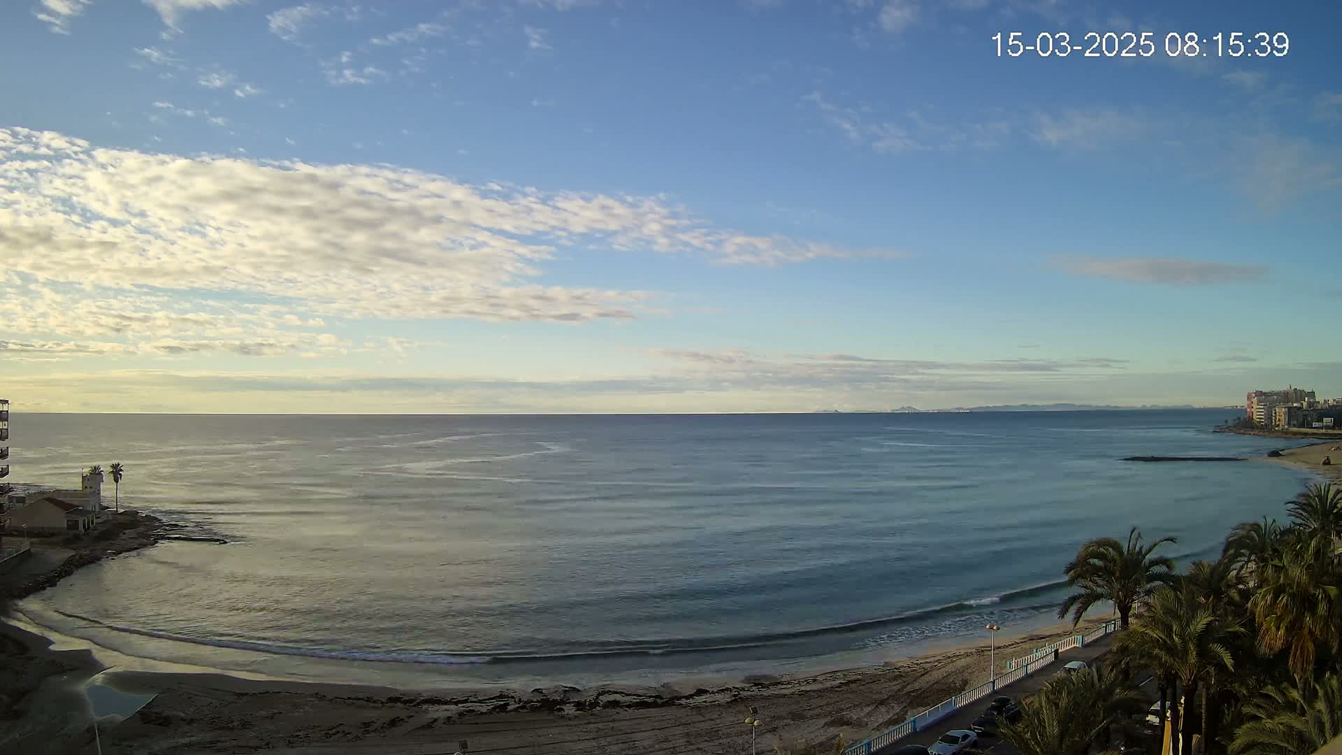 A mostly sunny day with some clouds shows a calm ocean meeting a sandy beach lined with palm trees and buildings in the distance.