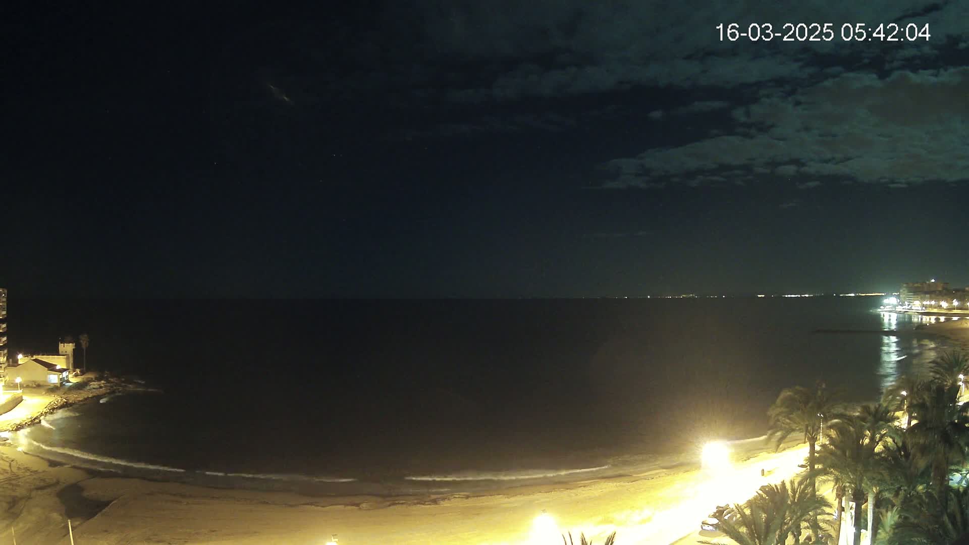 A nighttime view of a calm ocean beach with palm trees lining the shore under a partly cloudy sky.