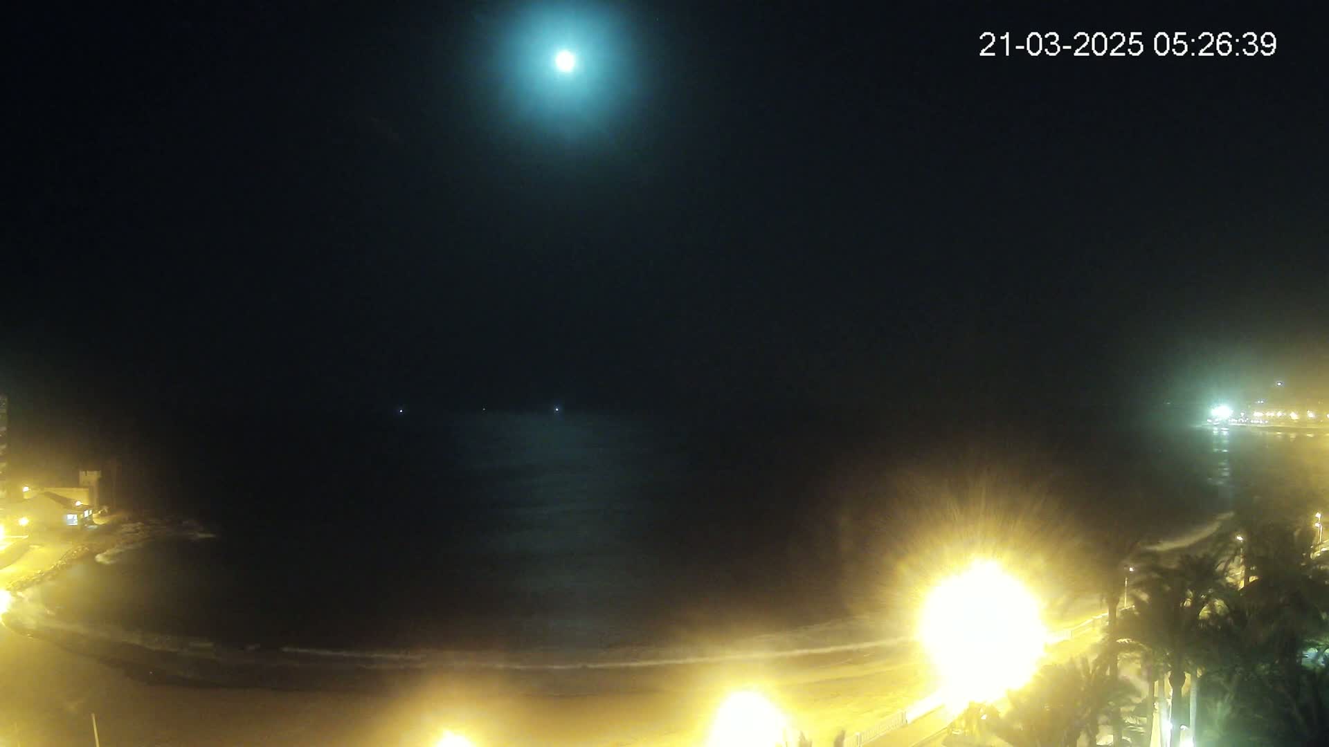 A nighttime view of a moonlit ocean beach with gently lapping waves and illuminated palm trees along the shore.