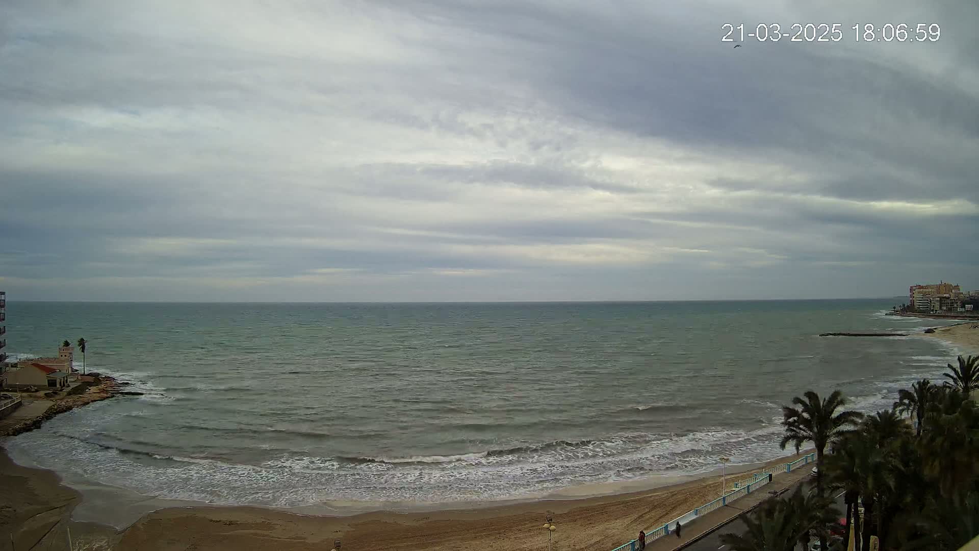 A sandy beach with palm trees and a calm sea under an overcast sky.