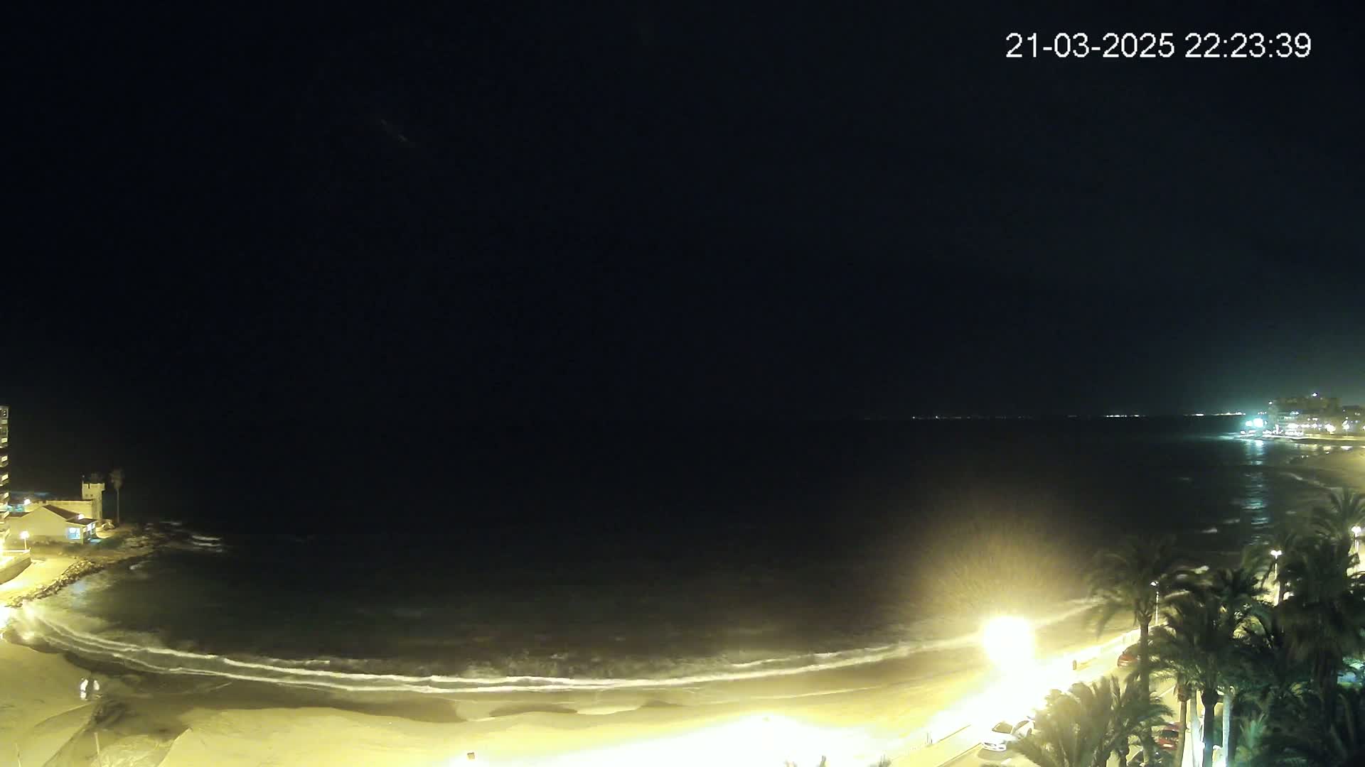A nighttime view of a beach with gentle waves lapping the shore, palm trees lining the promenade, and buildings visible in the distance under a dark, clear sky.