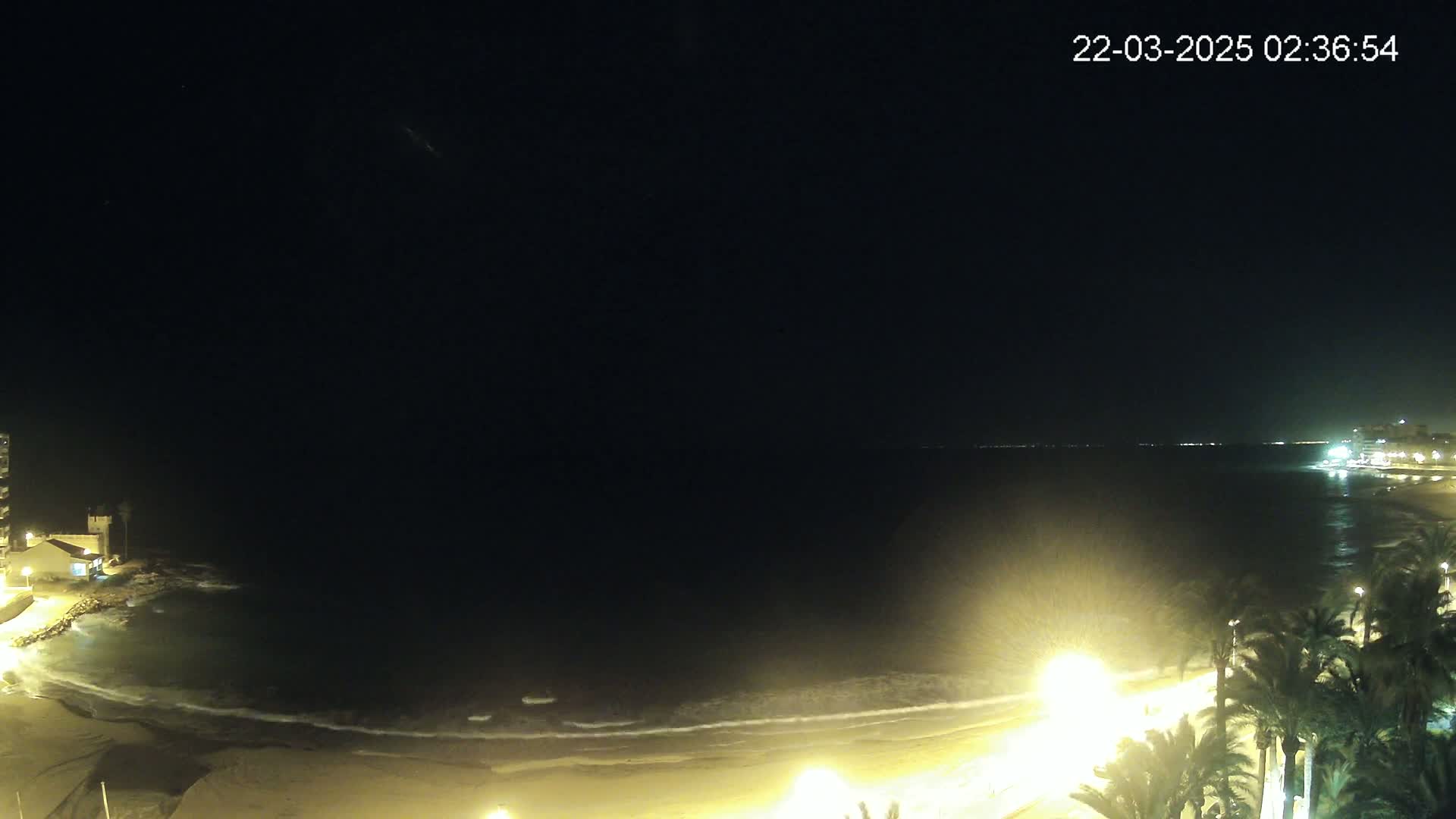 A nighttime view of a beach with gentle waves, illuminated by streetlights, and palm trees lining the shore under a clear, dark sky.