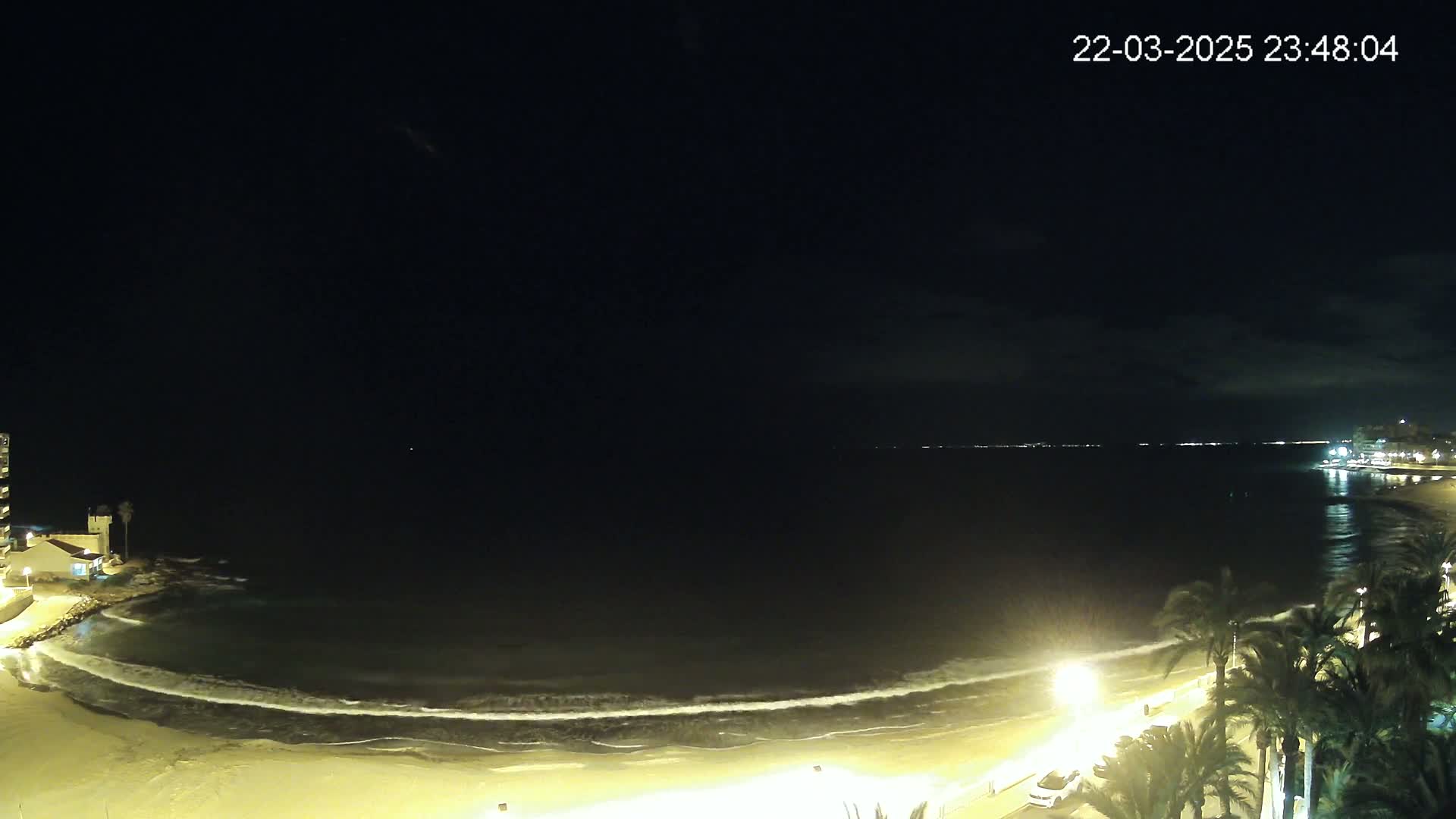 A nighttime view of a sandy beach with gentle waves lapping the shore, palm trees lining the beachfront, and a calm sea under a dark, mostly clear sky.