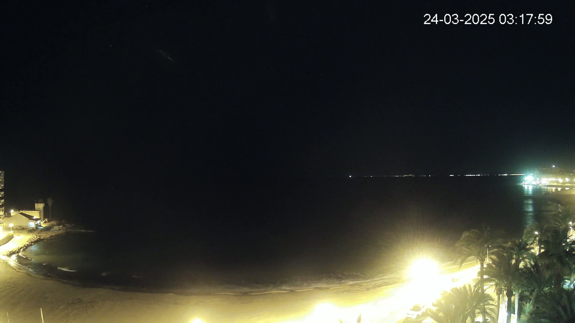 A nighttime beach scene shows a dark ocean with gentle waves lapping on a sandy shore, illuminated by streetlights along a palm tree-lined promenade.