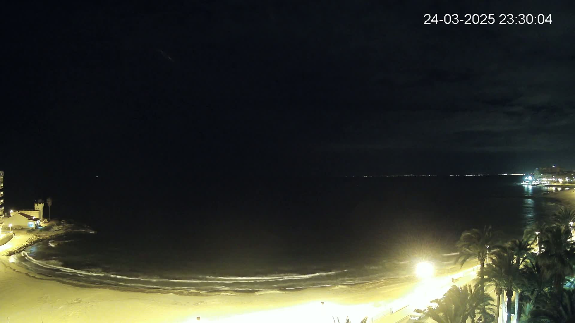 A nighttime view of a sandy beach with gentle waves lapping the shore, palm trees lining the beachfront, and distant lights illuminating the coastline under a dark, cloudy sky.