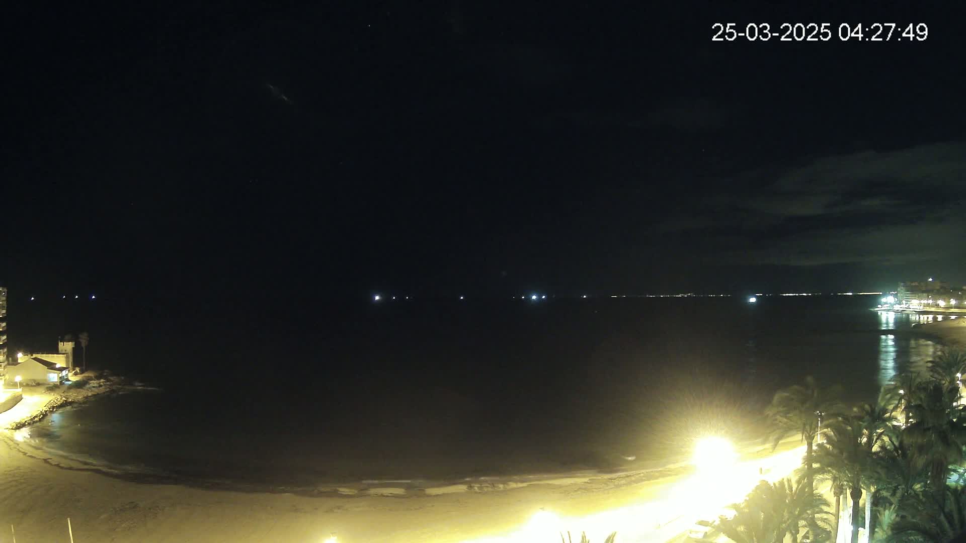 A nighttime view of a calm, dark ocean next to a beach lined with palm trees and illuminated by streetlights under a mostly clear, dark sky.