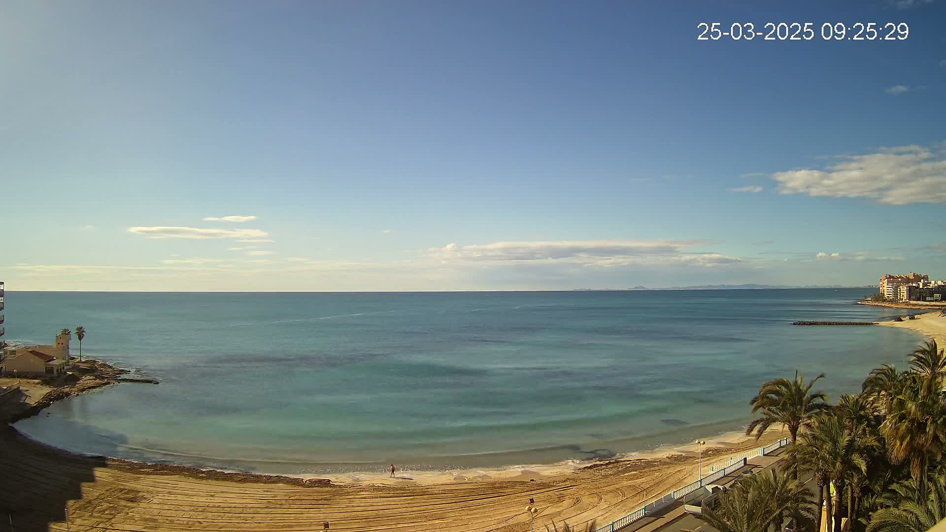 A mostly sunny day shows a calm, teal-colored sea curving into a sandy beach with palm trees lining the shore.