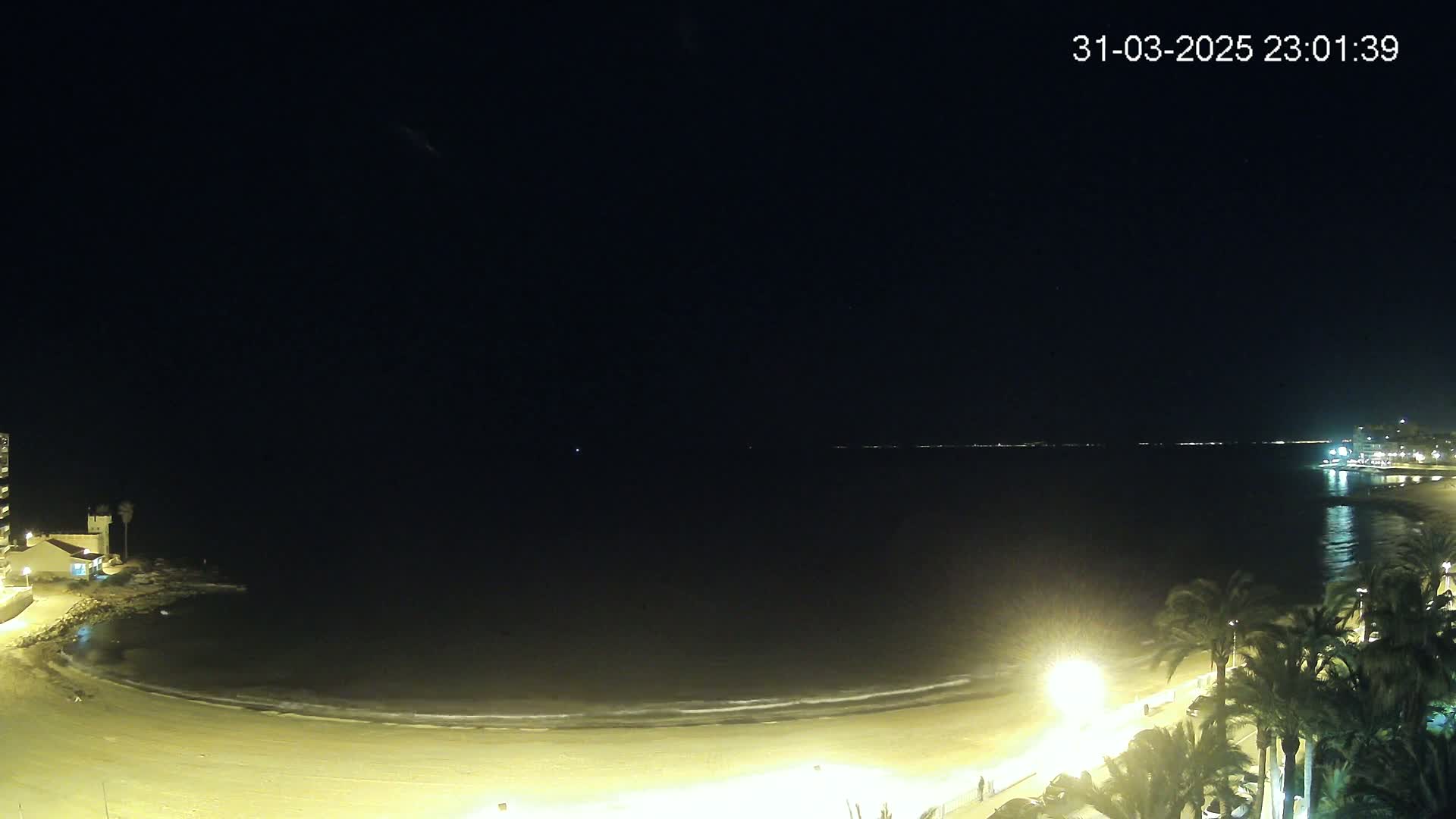 A nighttime view of a mostly empty sandy beach with calm waves lapping the shore, palm trees lining the promenade, and buildings visible in the distance under a clear, dark sky.