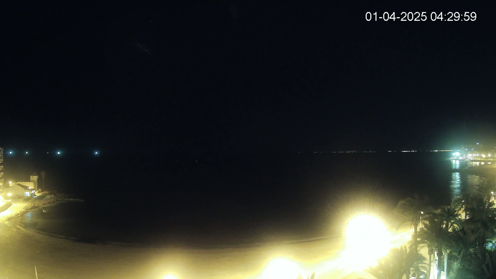A nighttime coastal scene shows a dark body of water under a clear sky, with a sandy beach and palm trees illuminated by artificial lights along the shore.