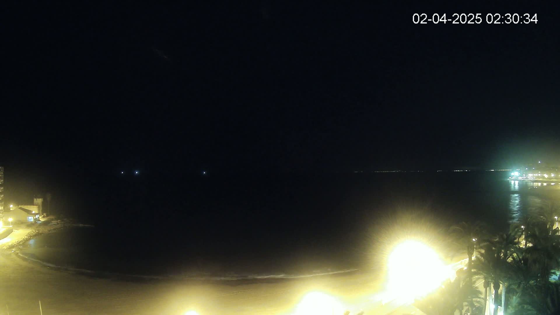 A nighttime view of a calm ocean beach with palm trees and streetlights illuminating the sand and shoreline under a dark, clear sky.