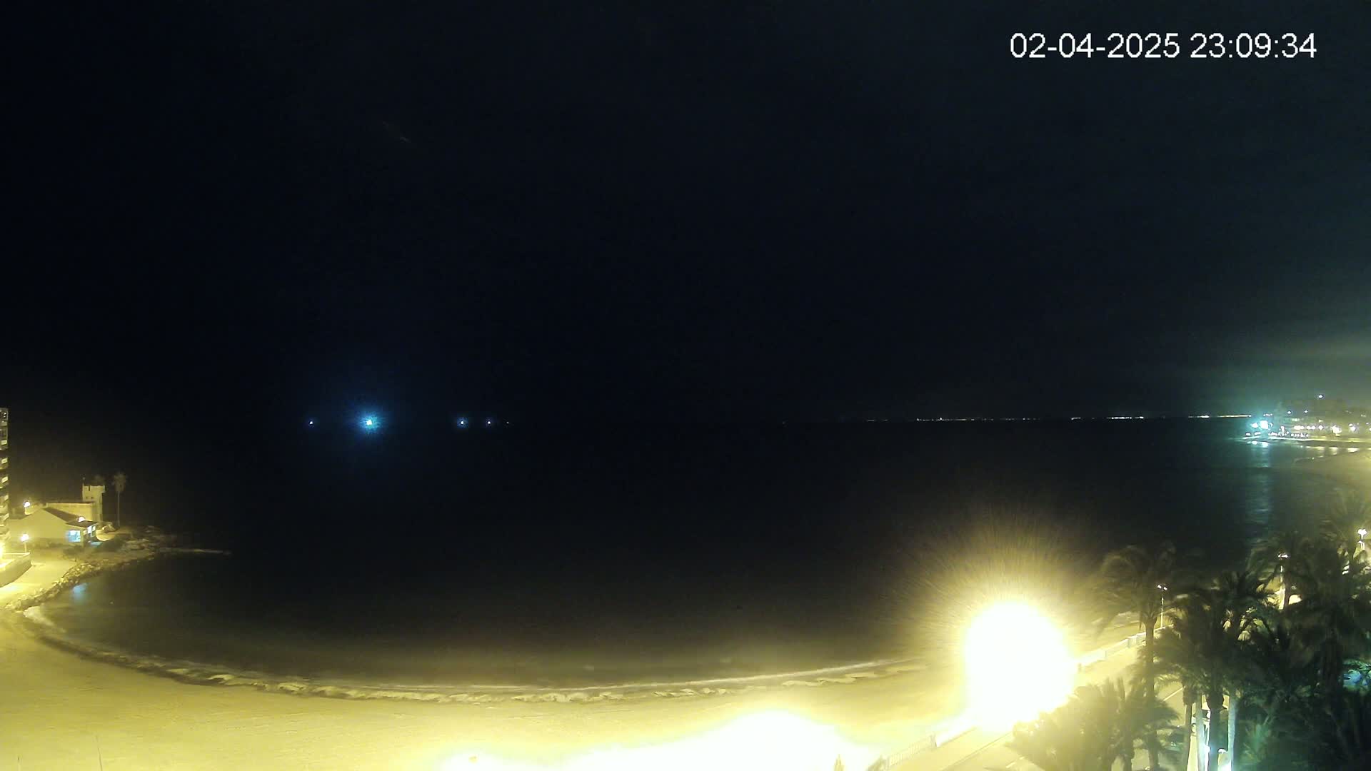 A nighttime view of a calm, dark ocean meeting a sandy beach lit by streetlights, with palm trees lining the shore.