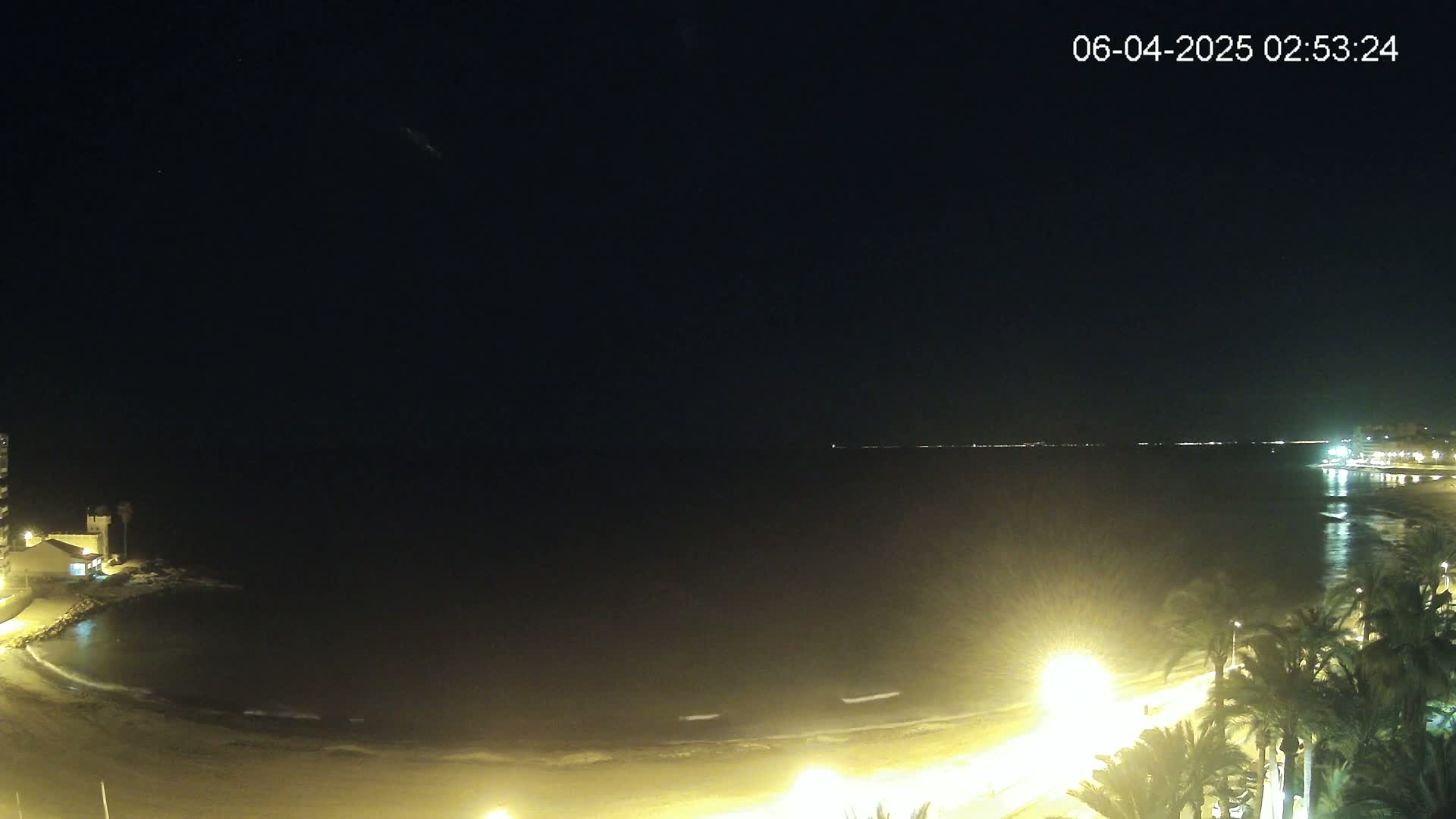 A nighttime view of a calm ocean beach illuminated by streetlights, with palm trees lining the shore under a clear, dark sky.