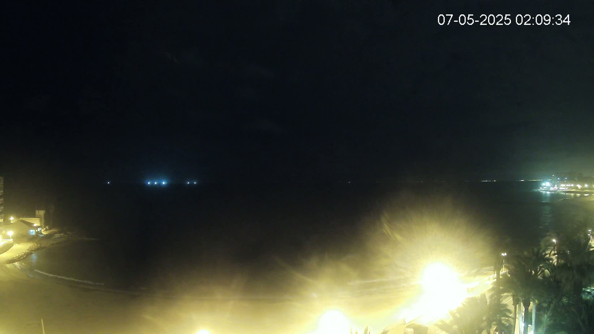 A nighttime coastal scene shows a dark ocean with faint lights in the distance, a dimly lit beach, and palm trees along a shoreline illuminated by streetlights.