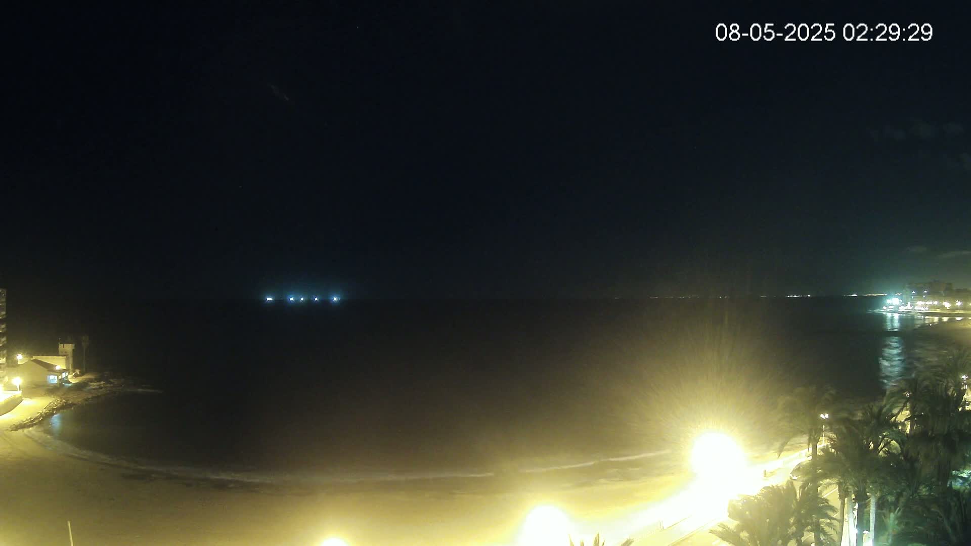 A dark, nighttime beach scene shows a calm ocean under a clear sky, illuminated by lights along the shoreline and palm trees.