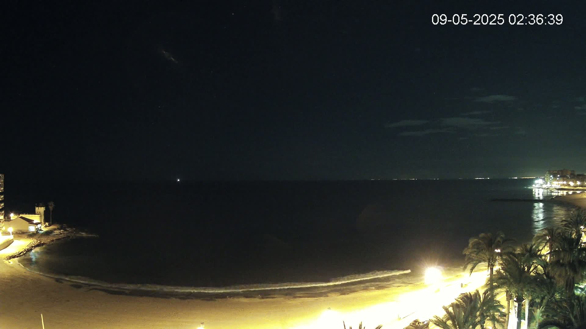 A nighttime view of a calm ocean beach with palm trees and lights along the shore under a clear, starry sky.
