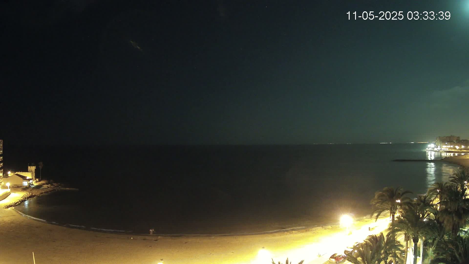 A dark, nighttime beach scene shows a calm, dark sea under a mostly clear sky, with palm trees and lights illuminating the sand and shoreline.