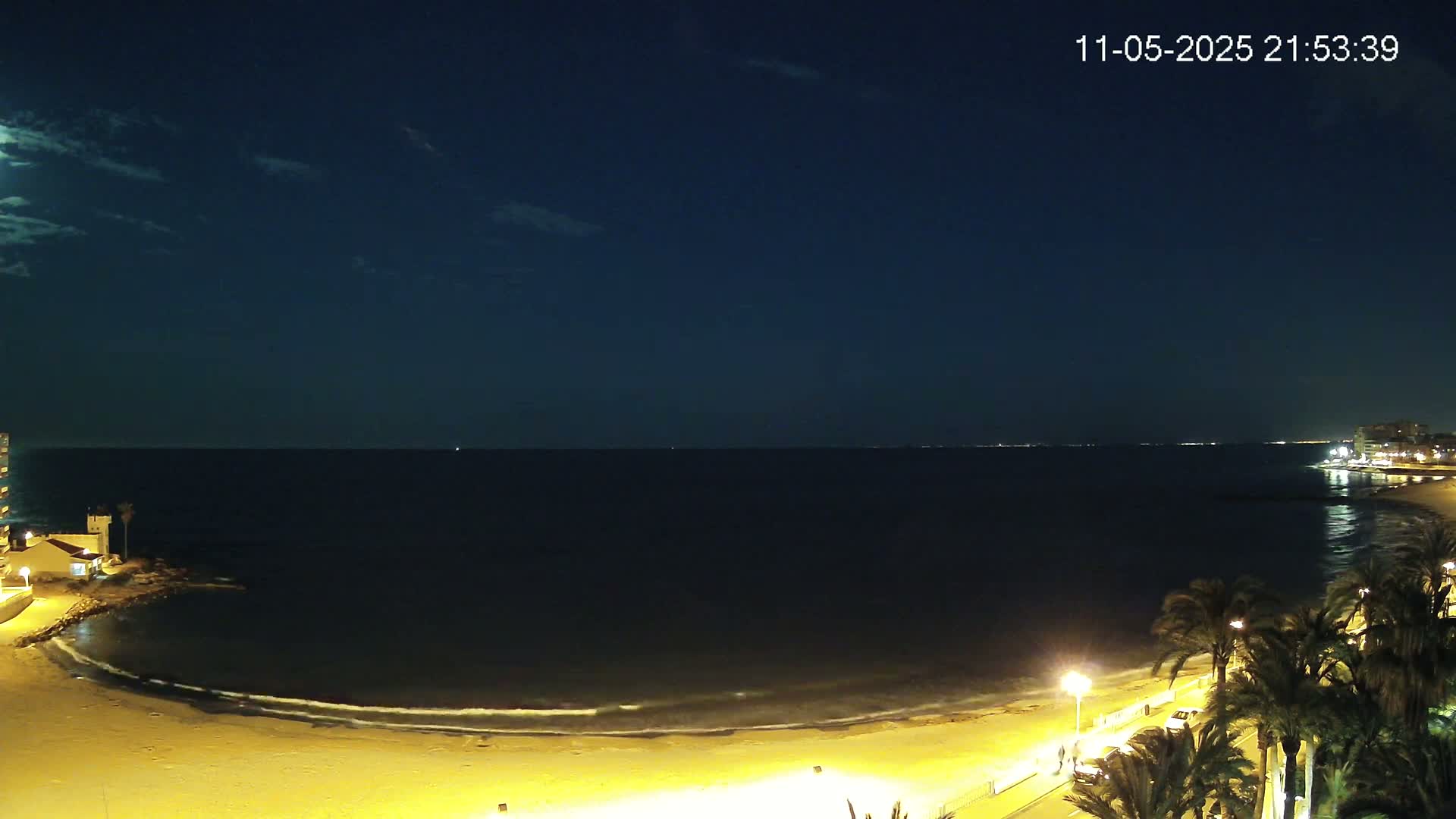 A moonlit night scene shows a calm, dark ocean lapping a sandy beach lined with palm trees and illuminated buildings.