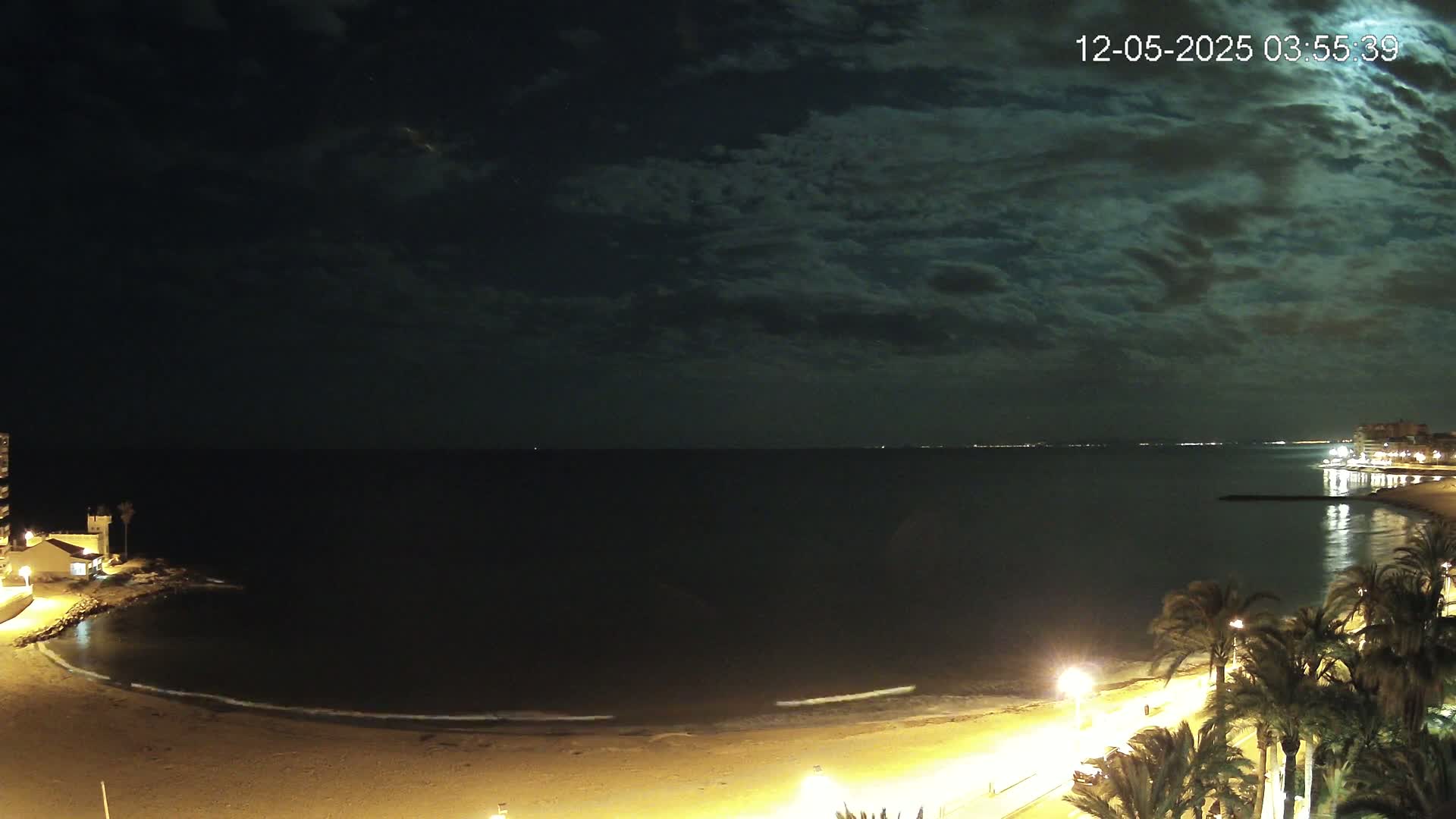 A moonlit night scene shows a dark ocean with a sandy beach, palm trees, and buildings illuminated by lights under a partly cloudy sky.