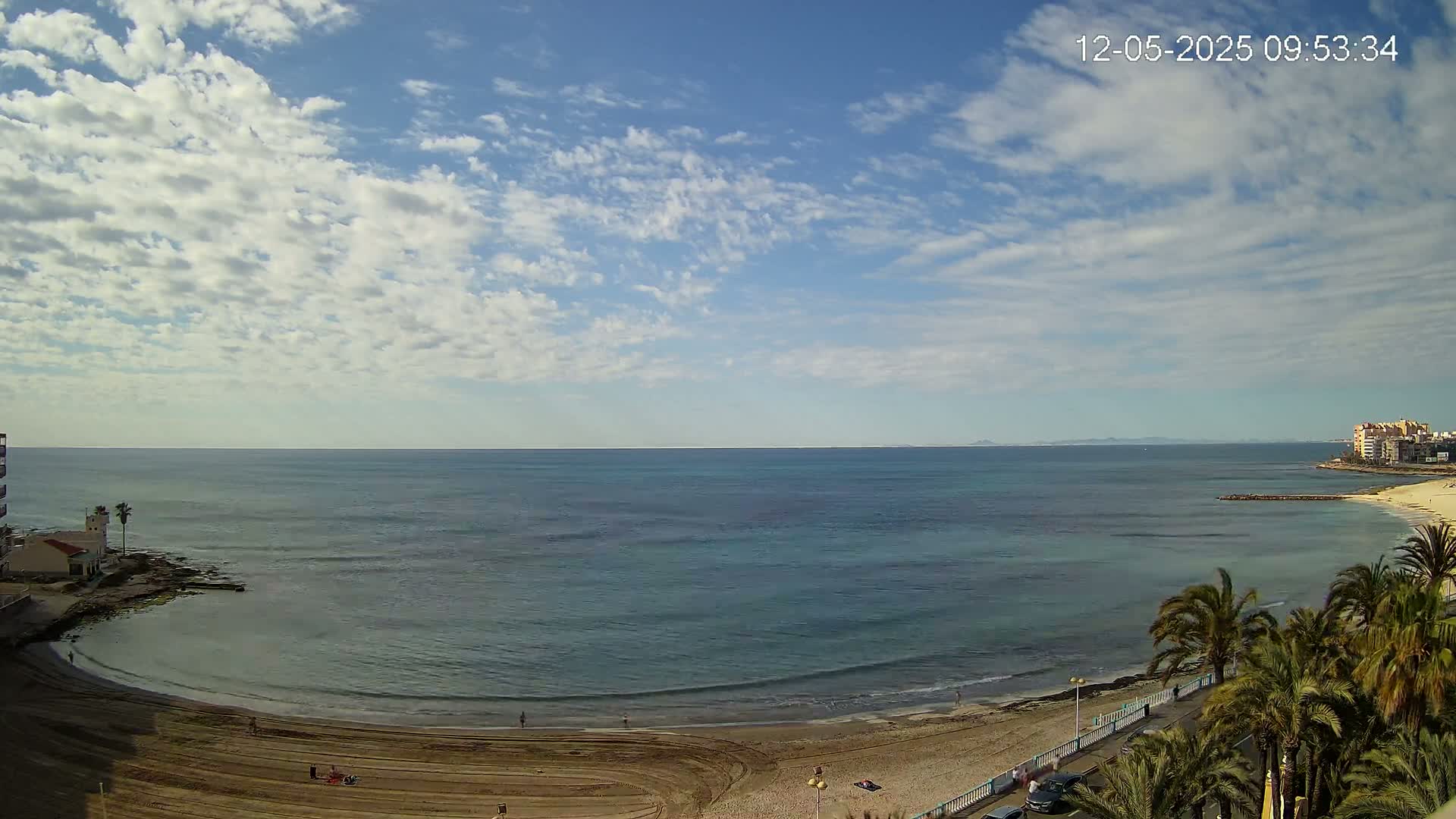 A mostly sunny day shows a calm ocean bay with a sandy beach, palm trees lining a nearby road, and buildings visible in the distance.