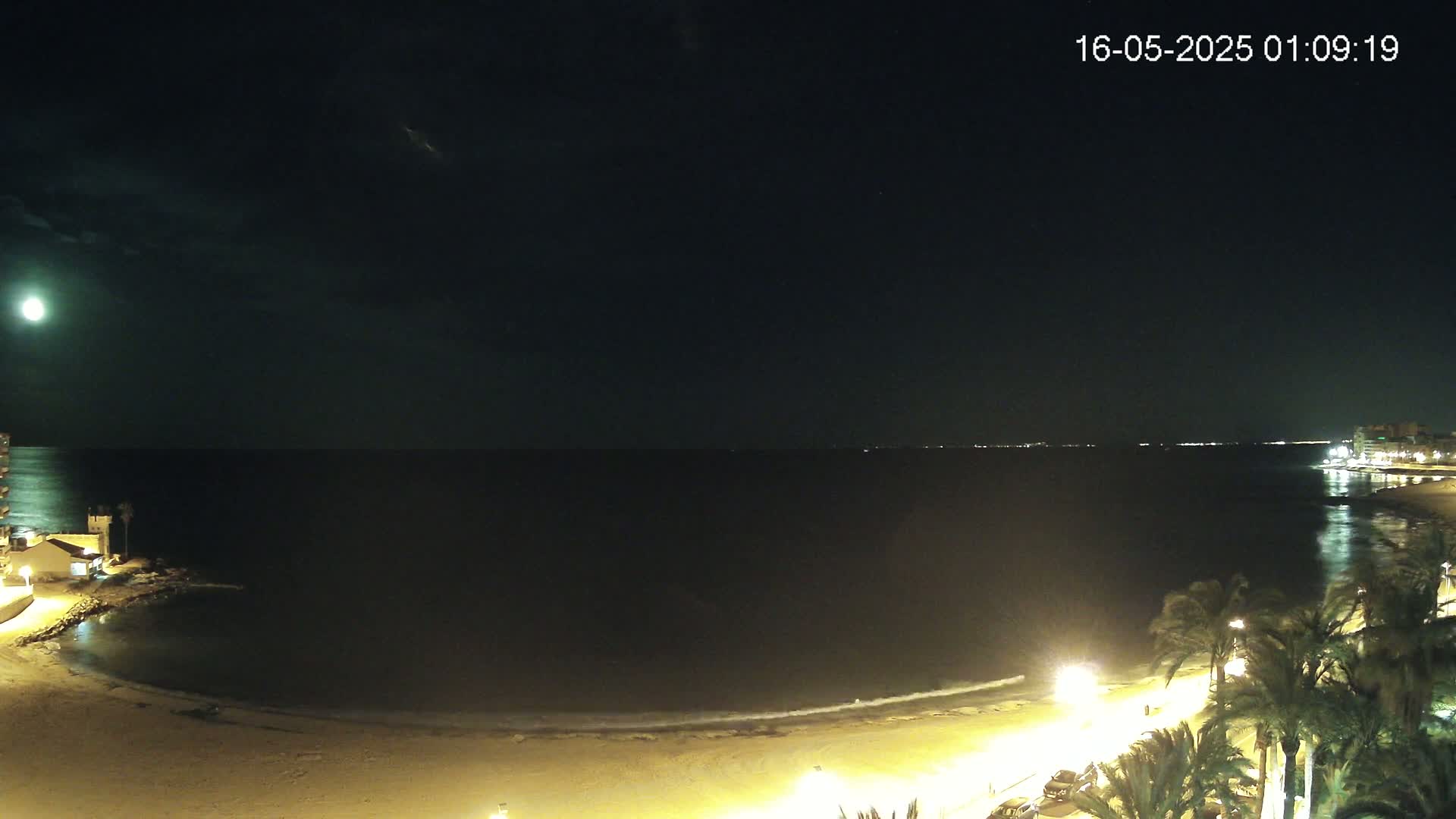A moonlit nighttime beach scene shows a calm sea lapping gently at the shore, palm trees lining the illuminated beachfront, and distant lights on the opposite coast.