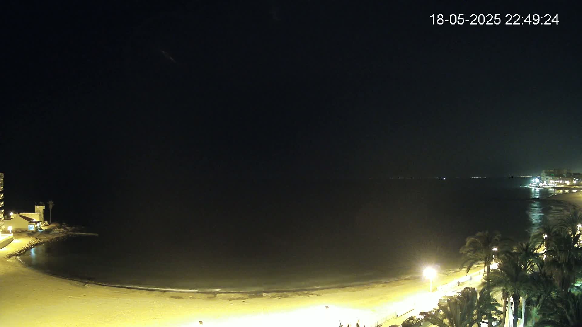 A dark night scene shows a mostly calm, dark body of water lapping at a sandy beach lined with palm trees and streetlights.