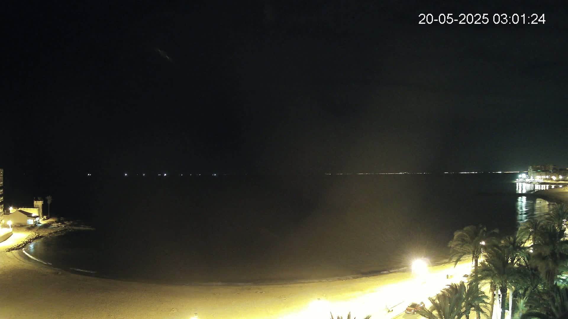 A nighttime view of a calm, dark sea with a sandy beach, palm trees, and dimly lit buildings along the shore.