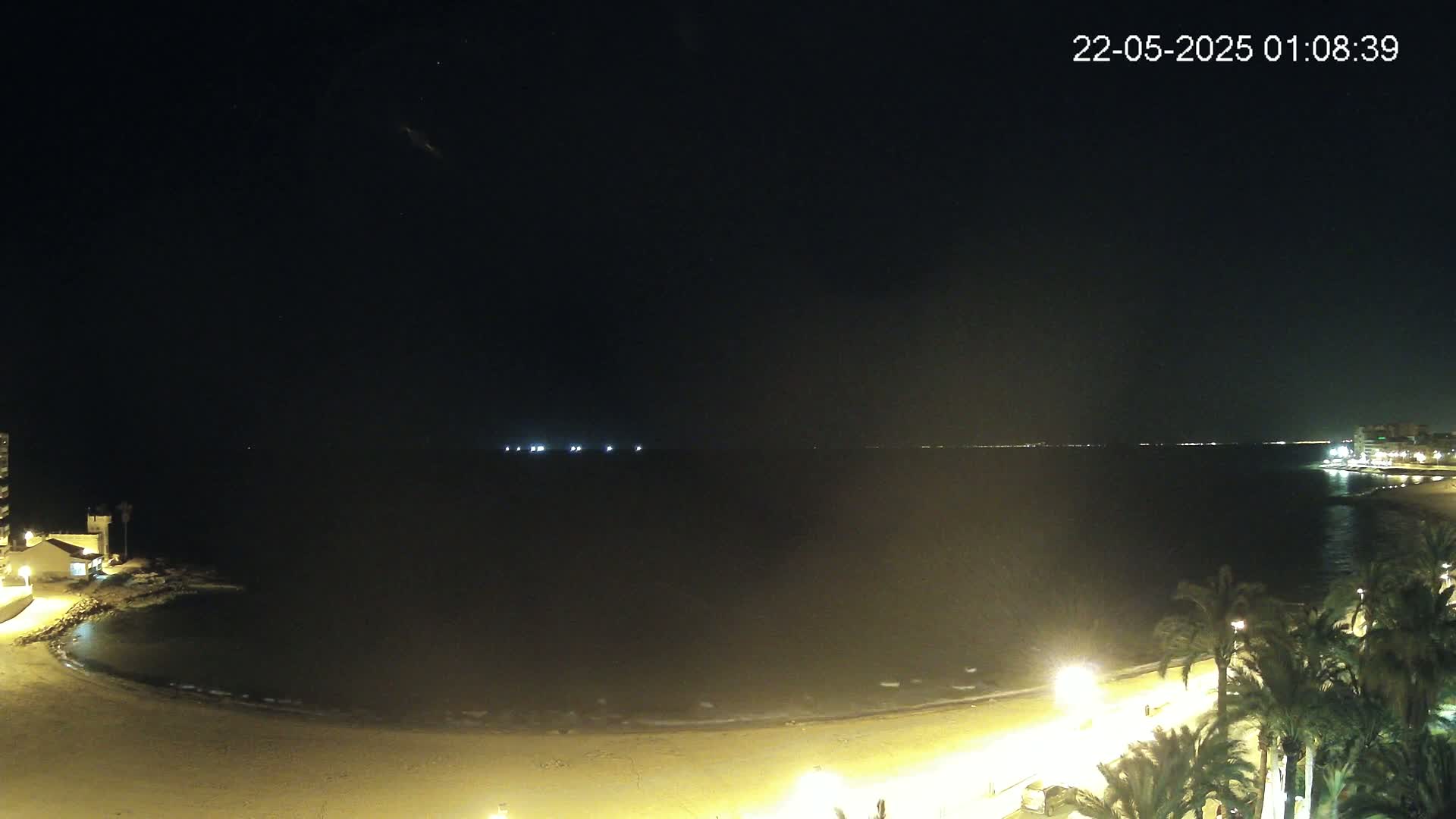 A nighttime view of a calm, dark ocean, a sandy beach illuminated by artificial lights, and palm trees lining a beachfront promenade under a clear, star-studded sky.