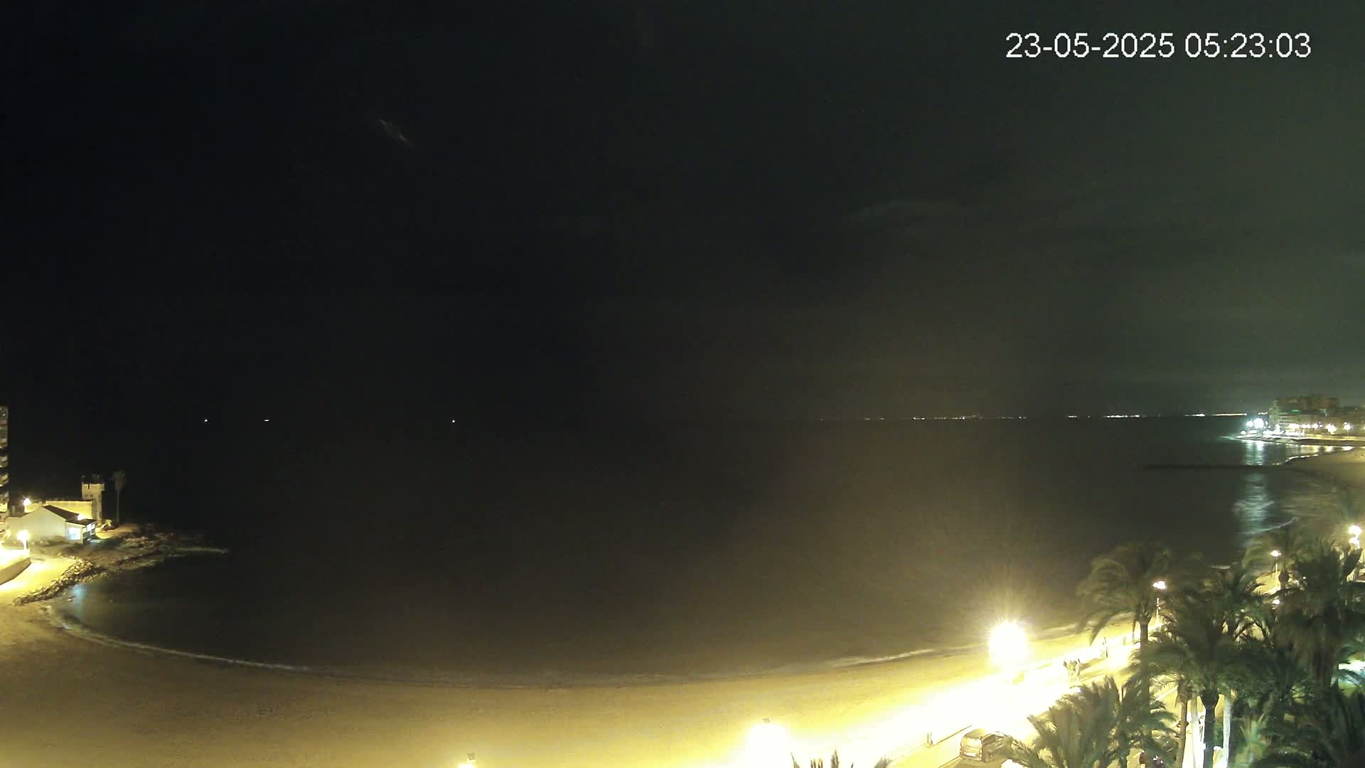 A dark, nighttime beach scene shows a calm, dimly lit ocean with palm trees and streetlights lining the sandy shore.