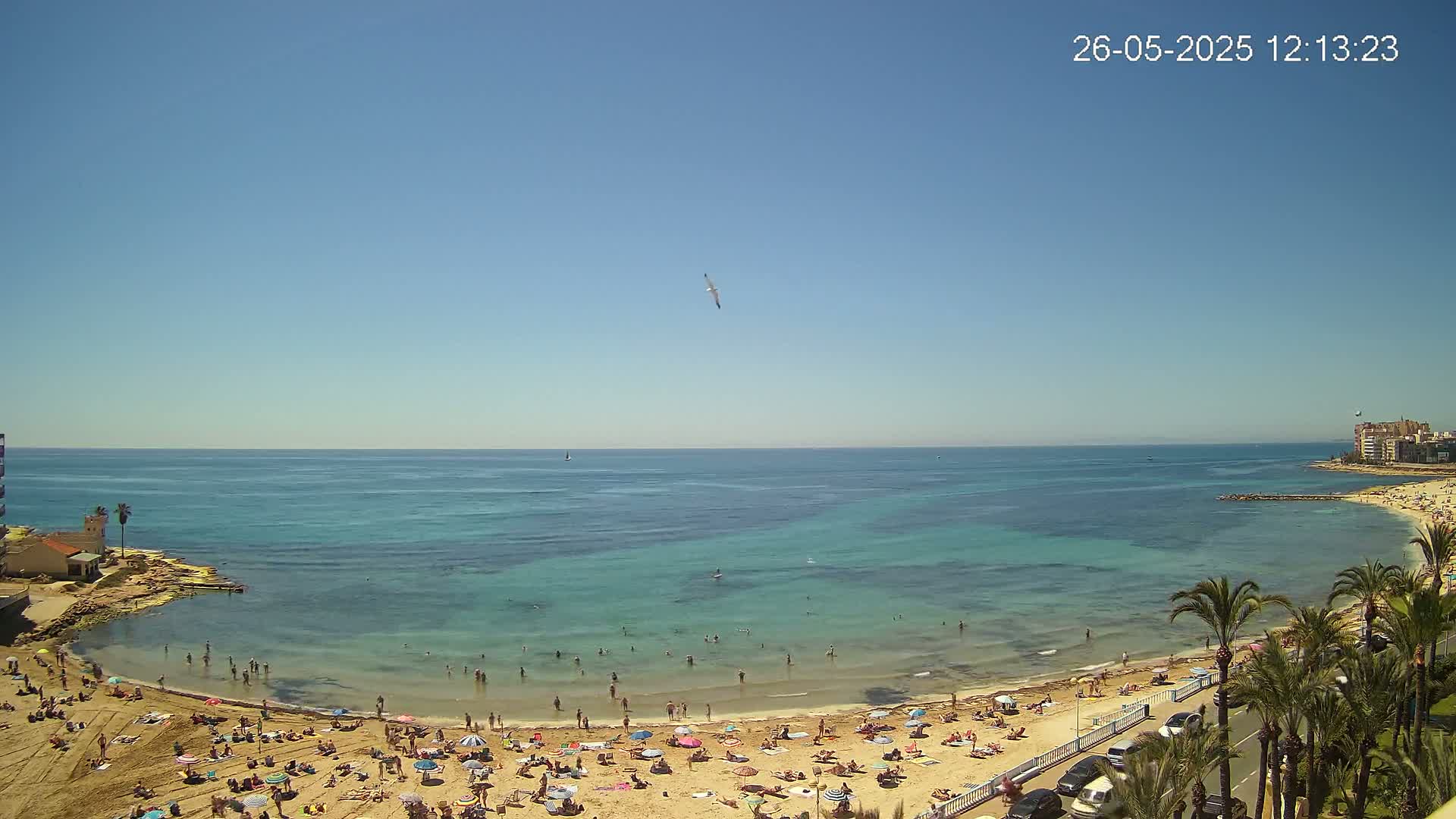 A sunny day at a crowded beach with clear, teal water and palm trees lining the shore.