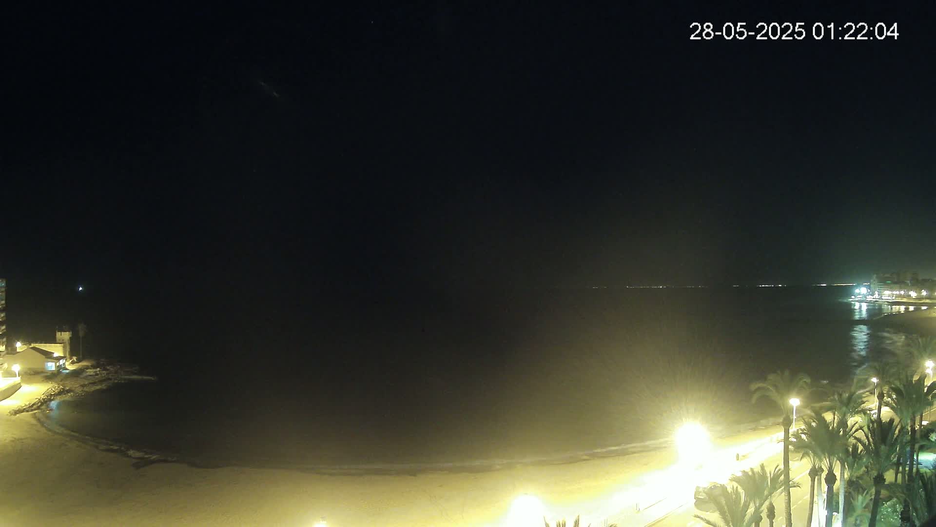 A dark night scene shows a calm, dimly lit beach with palm trees lining a road next to it, all bordering a dark sea under a clear night sky.