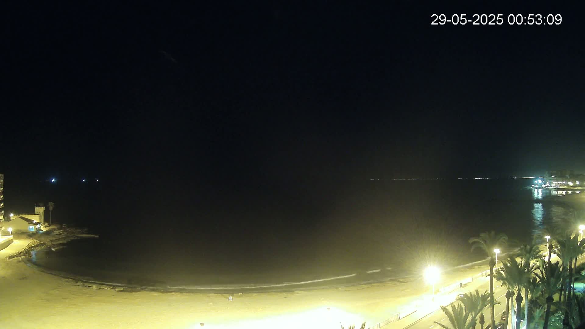A nighttime view of a calm ocean beach with palm trees lining a paved walkway, illuminated by streetlights.